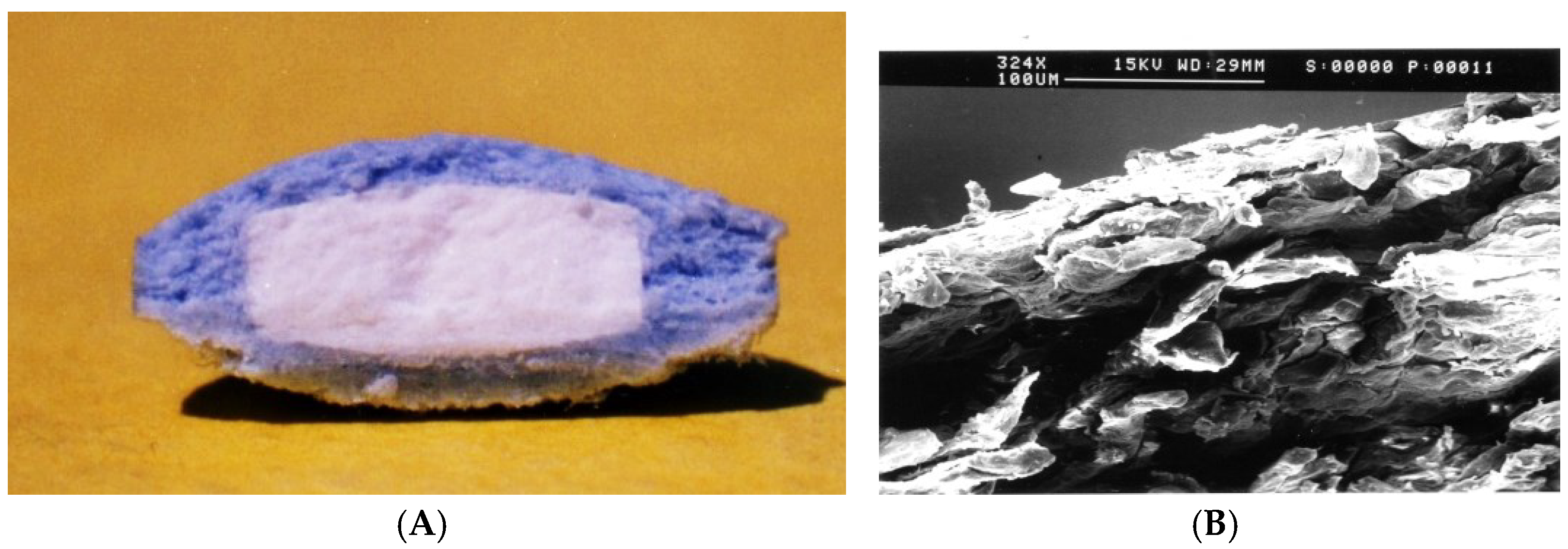 Pharmaceutics 14 02762 g016 Pharmaceutics 14 02762 g016