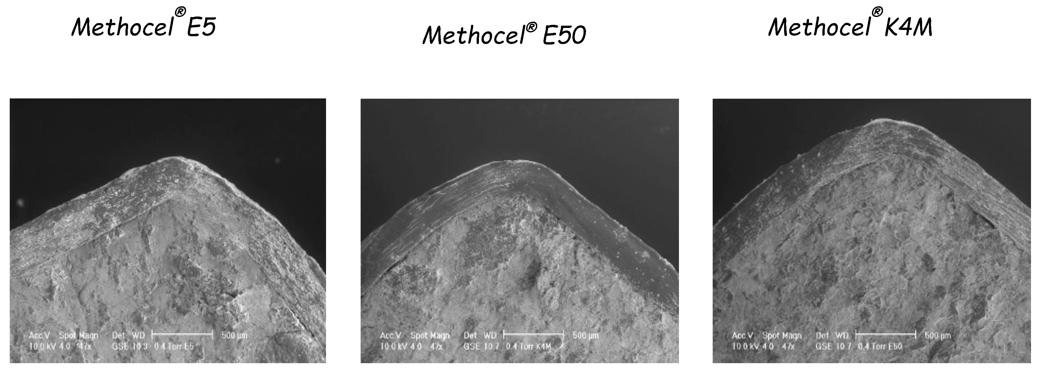 Pharmaceutics 14 02762 g018 Pharmaceutics 14 02762 g018