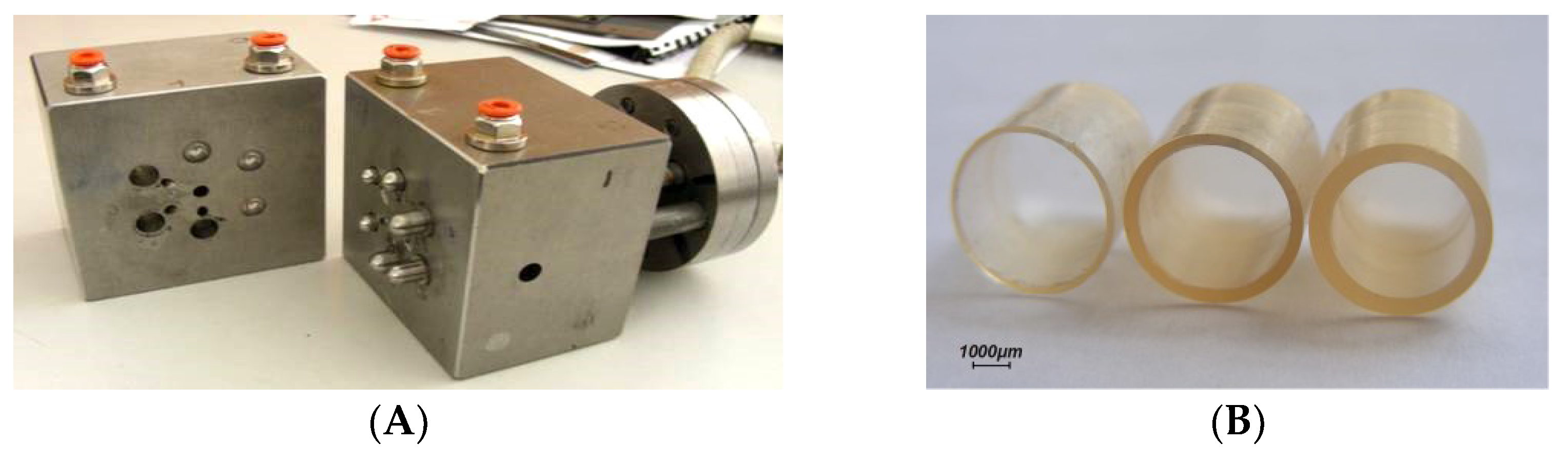 Pharmaceutics 14 02762 g026 Pharmaceutics 14 02762 g026