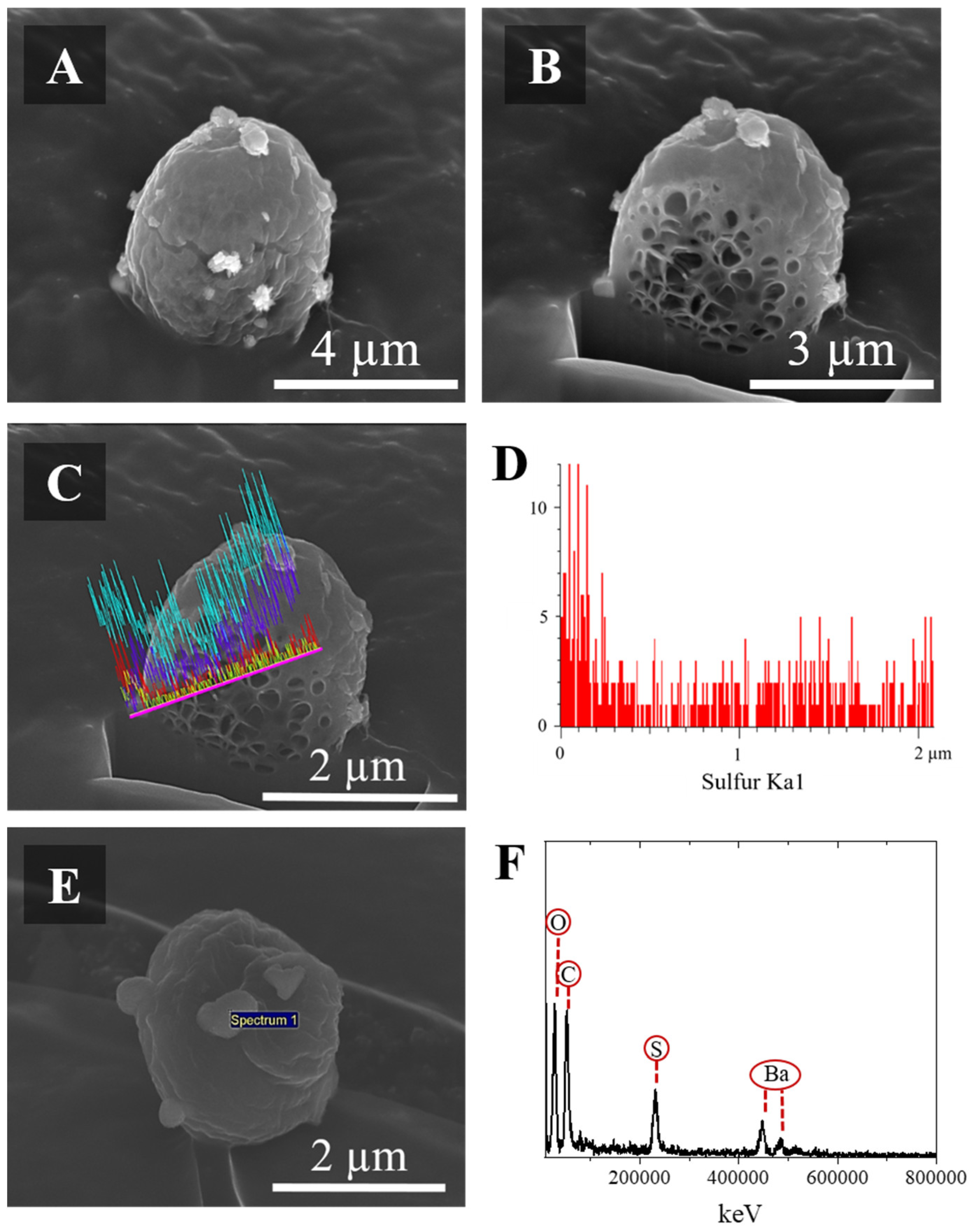 Pharmaceutics 14 02763 g003 Pharmaceutics 14 02763 g003