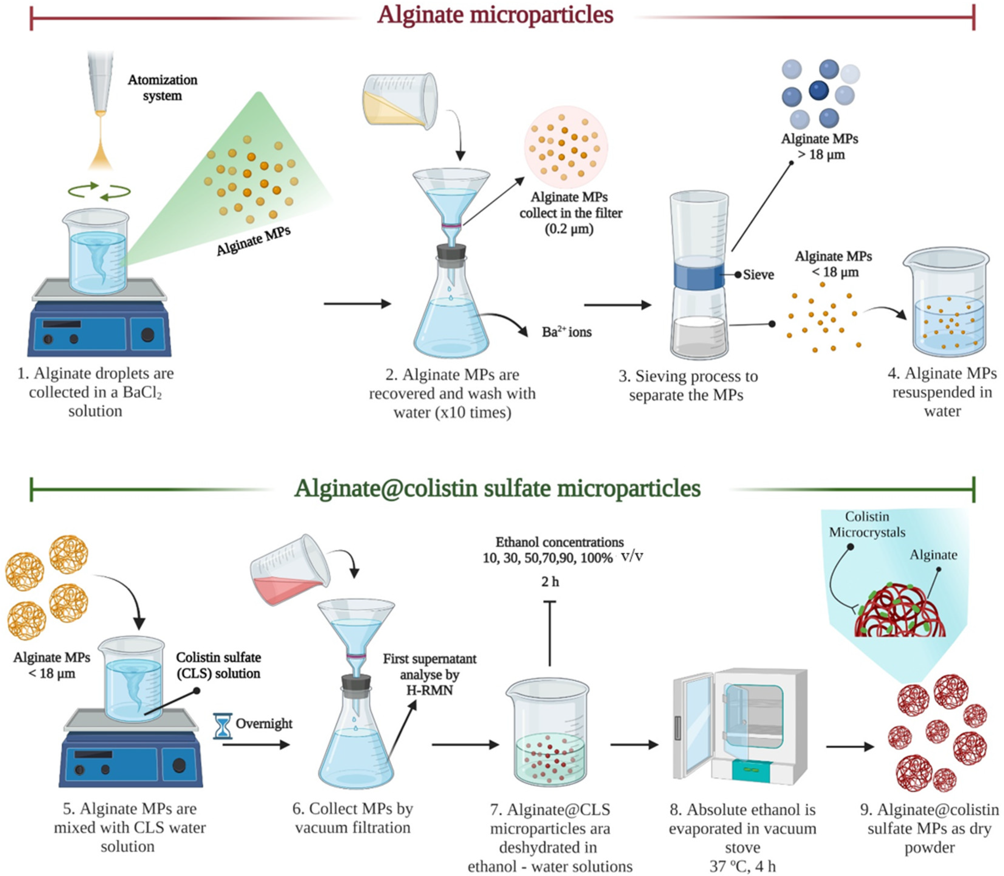 Pharmaceutics 14 02763 sch001 Pharmaceutics 14 02763 sch001