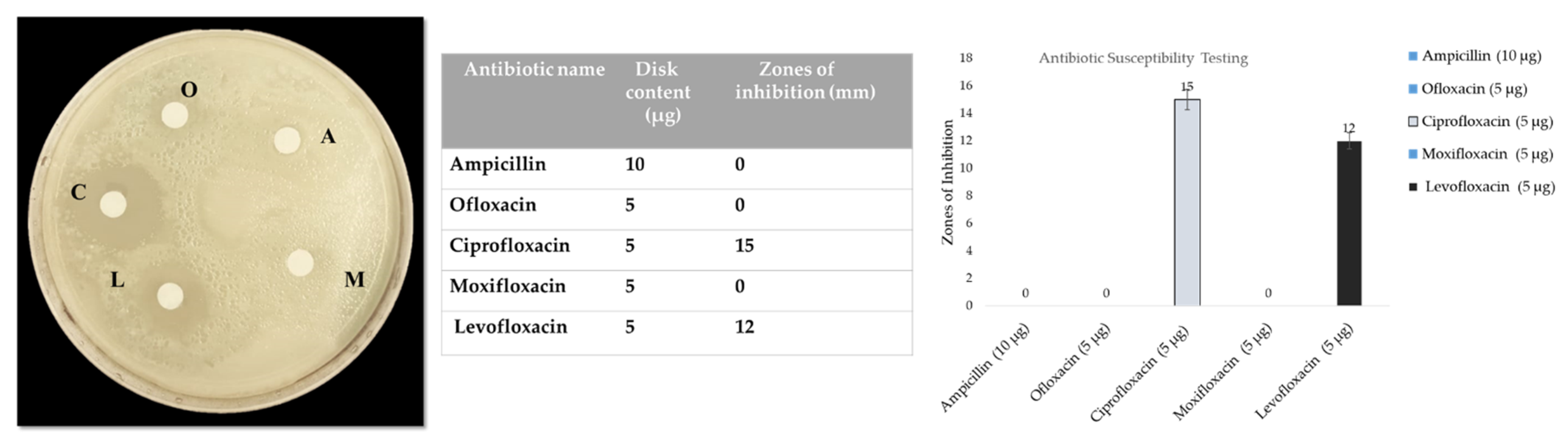Pharmaceutics 14 02764 g002 Pharmaceutics 14 02764 g002