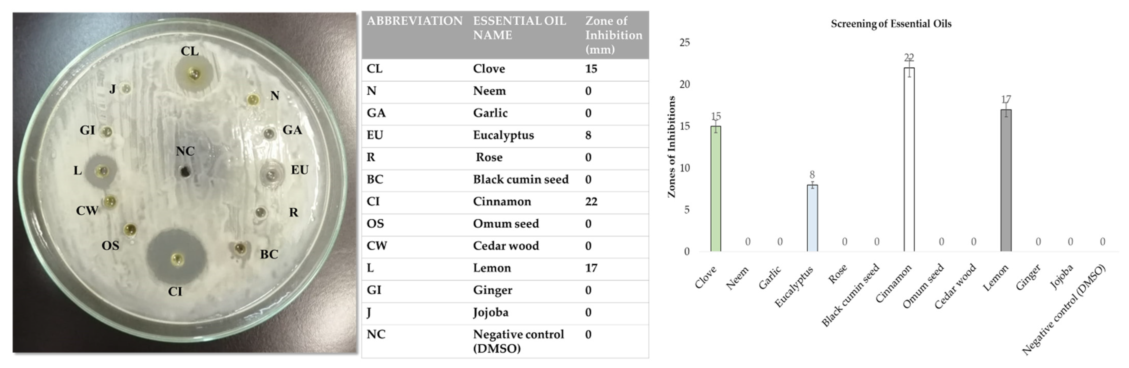 Pharmaceutics 14 02764 g003 Pharmaceutics 14 02764 g003