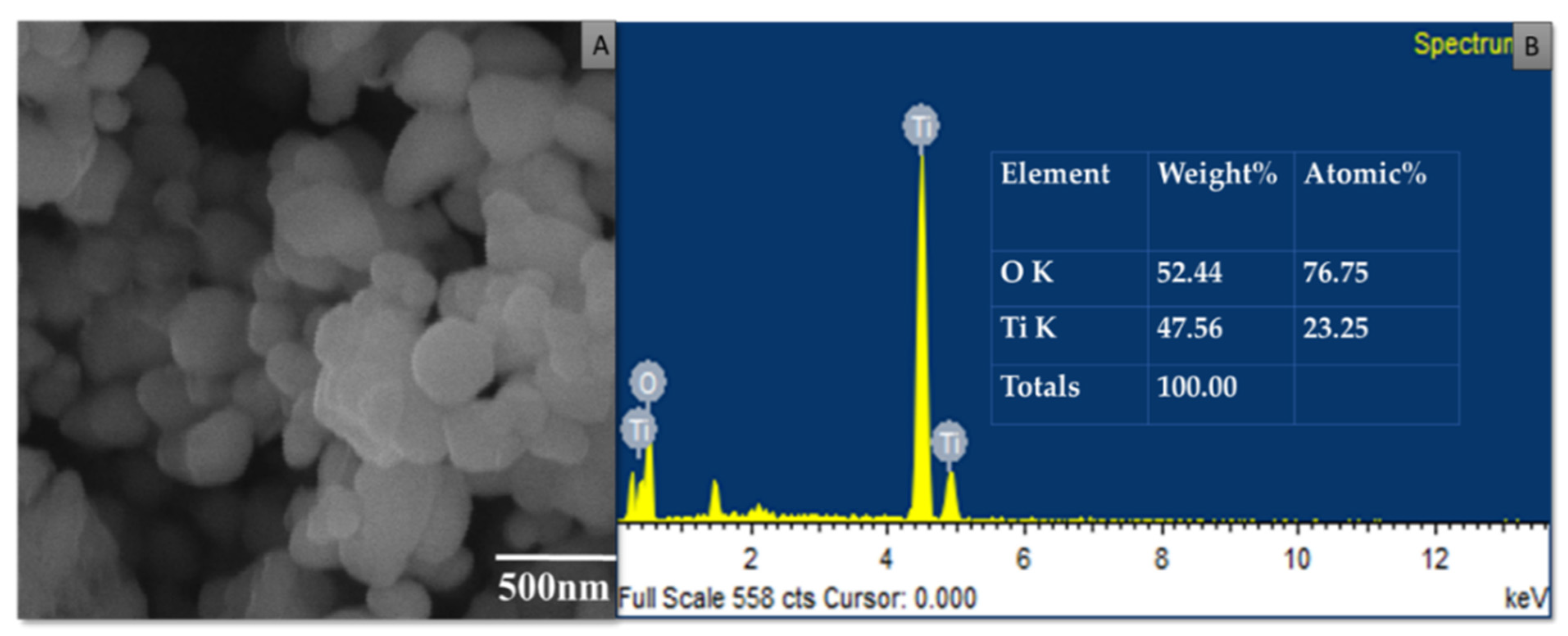 Pharmaceutics 14 02764 g005 Pharmaceutics 14 02764 g005