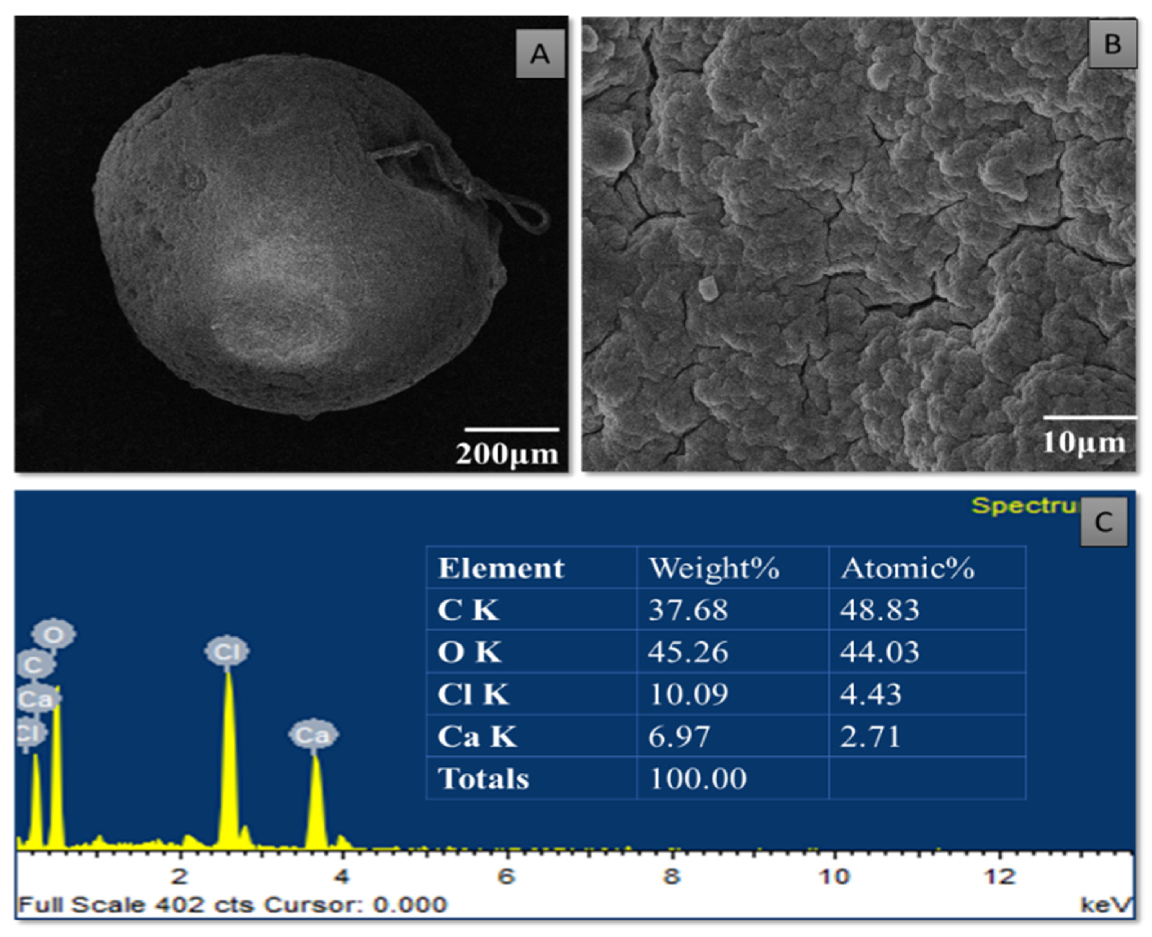 Pharmaceutics 14 02764 g006 Pharmaceutics 14 02764 g006