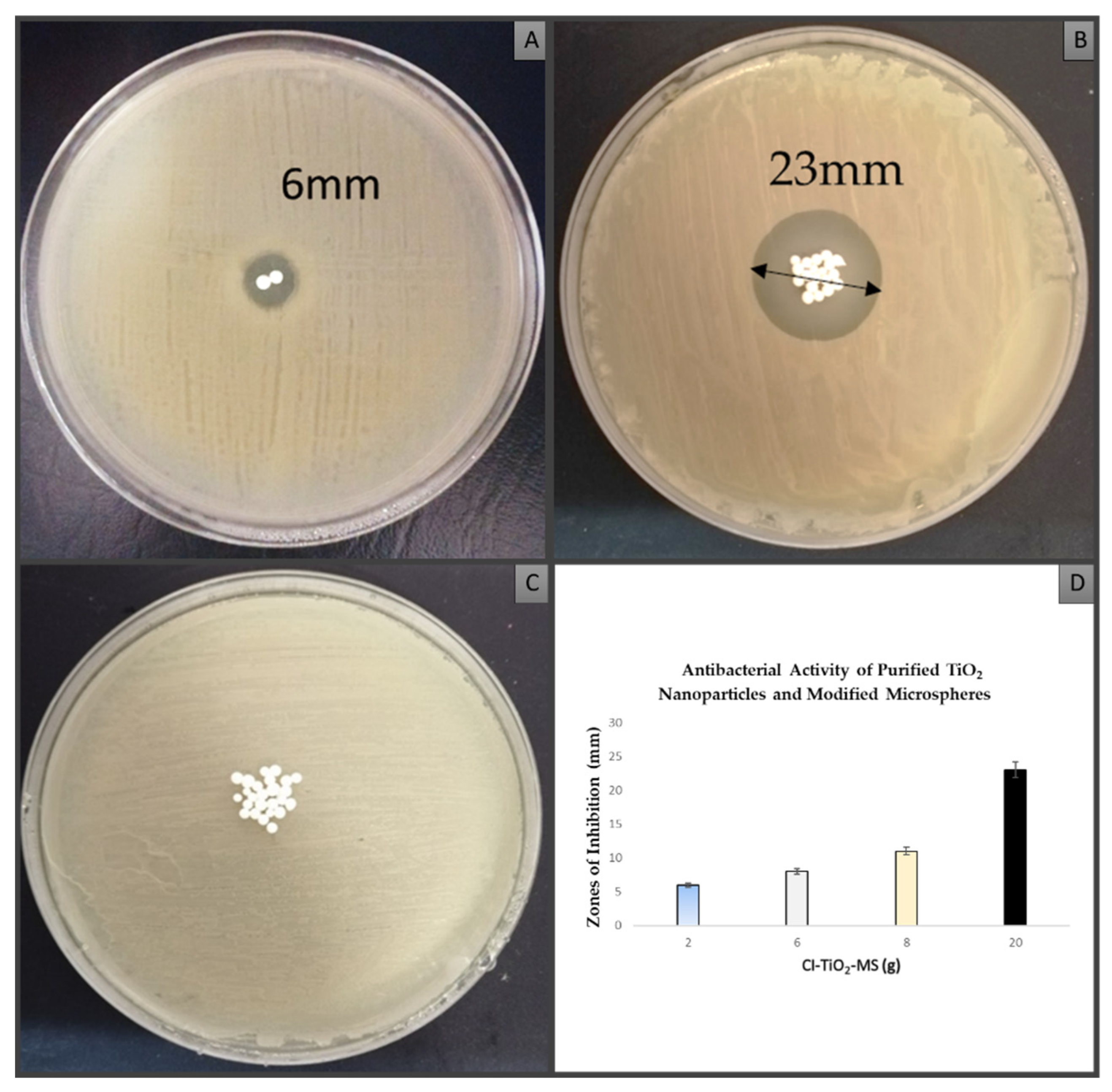 Pharmaceutics 14 02764 g010 Pharmaceutics 14 02764 g010