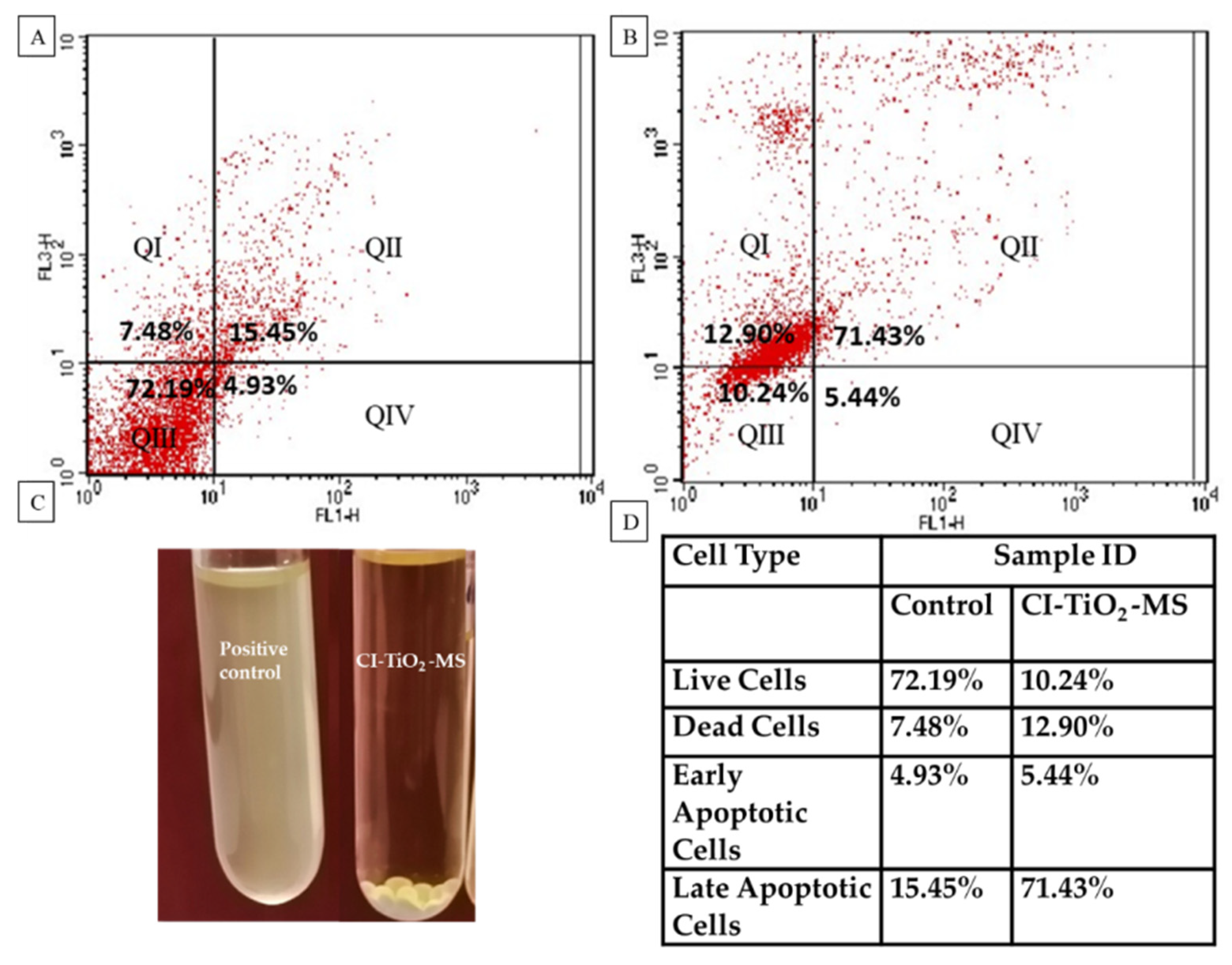 Pharmaceutics 14 02764 g011 Pharmaceutics 14 02764 g011