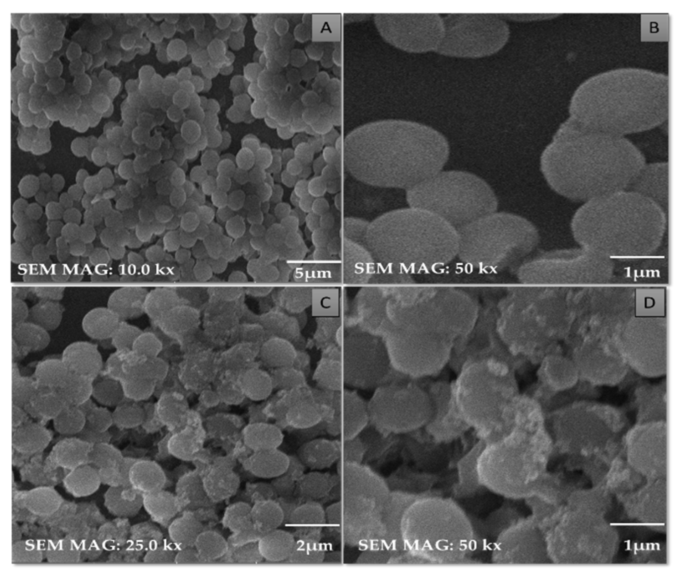 Pharmaceutics 14 02764 g012 Pharmaceutics 14 02764 g012