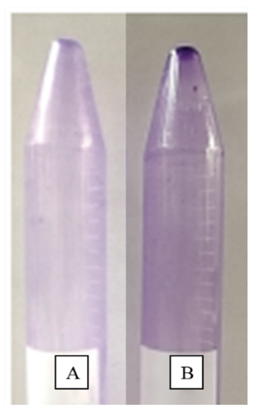 Pharmaceutics 14 02764 g013 Pharmaceutics 14 02764 g013