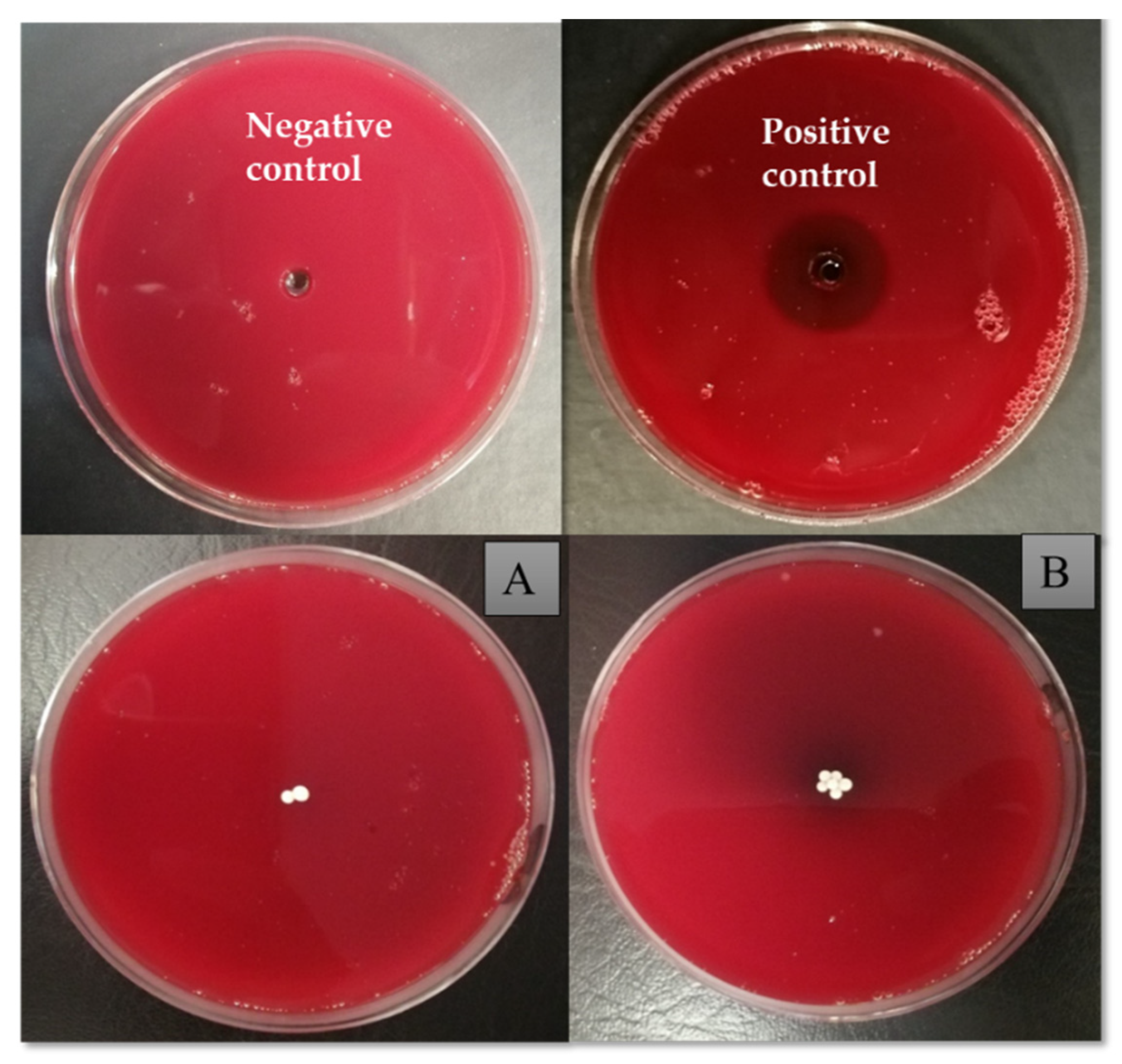 Pharmaceutics 14 02764 g014 Pharmaceutics 14 02764 g014