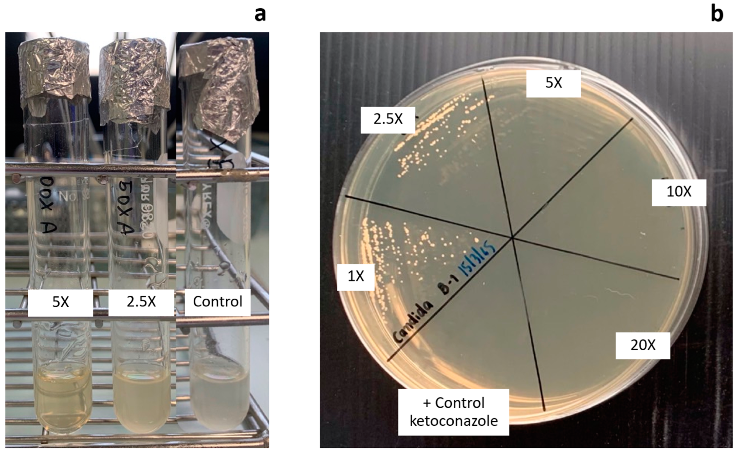 Pharmaceutics 14 02765 g005