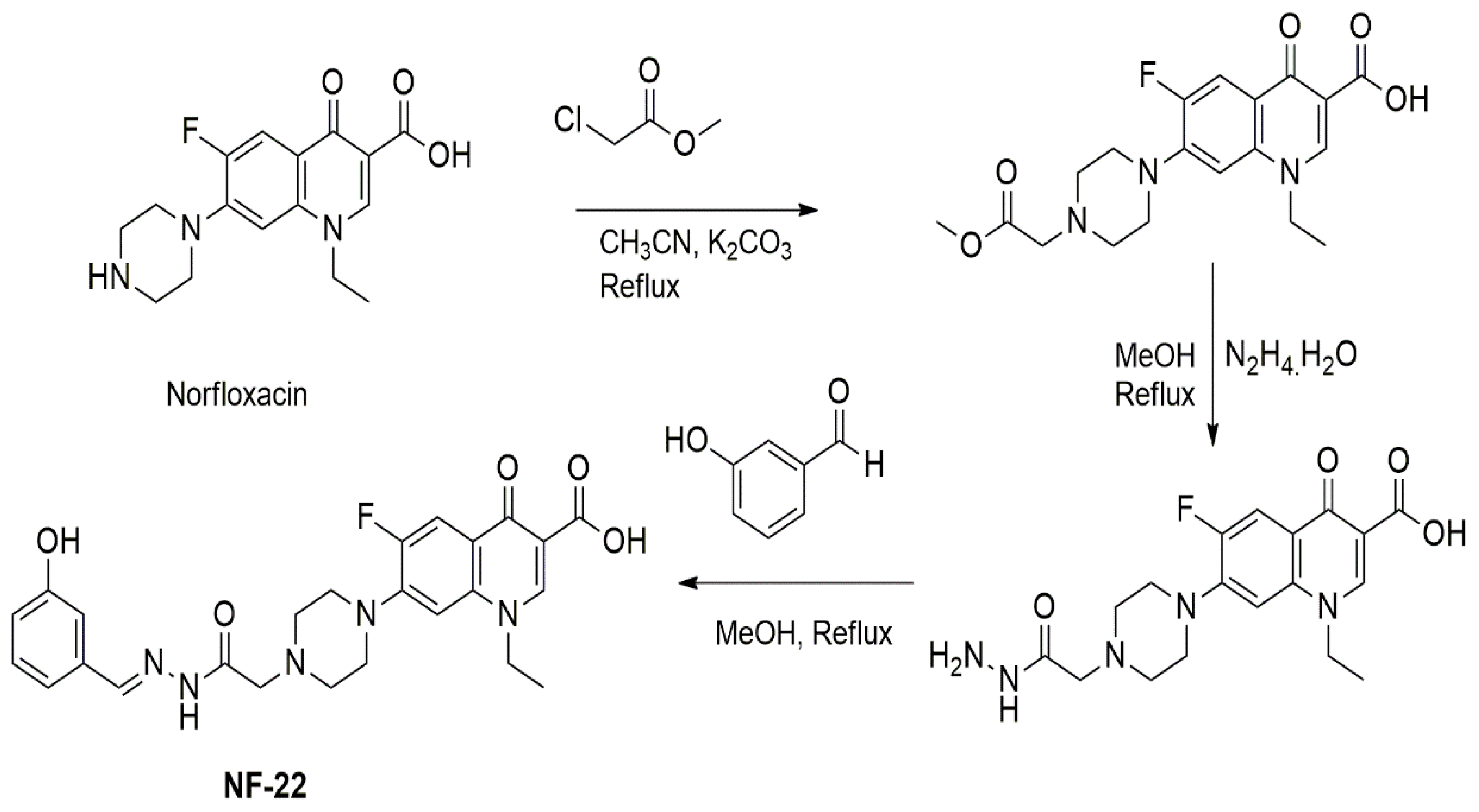 Pharmaceutics 14 02768 g002