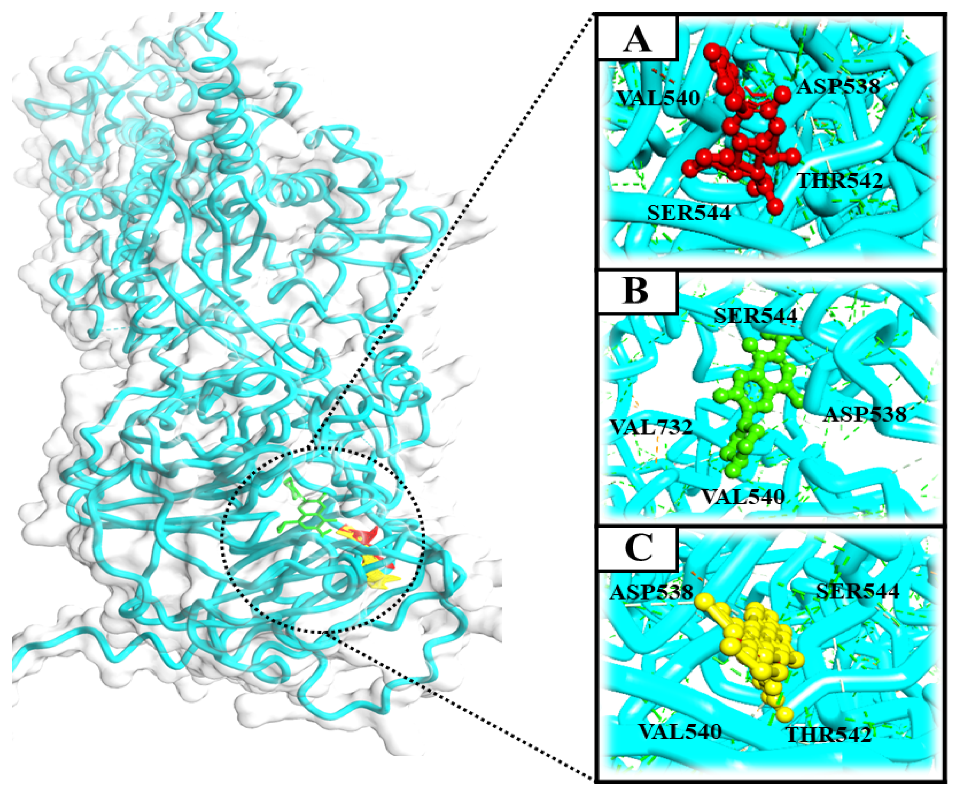 Pharmaceutics 14 02768 g005