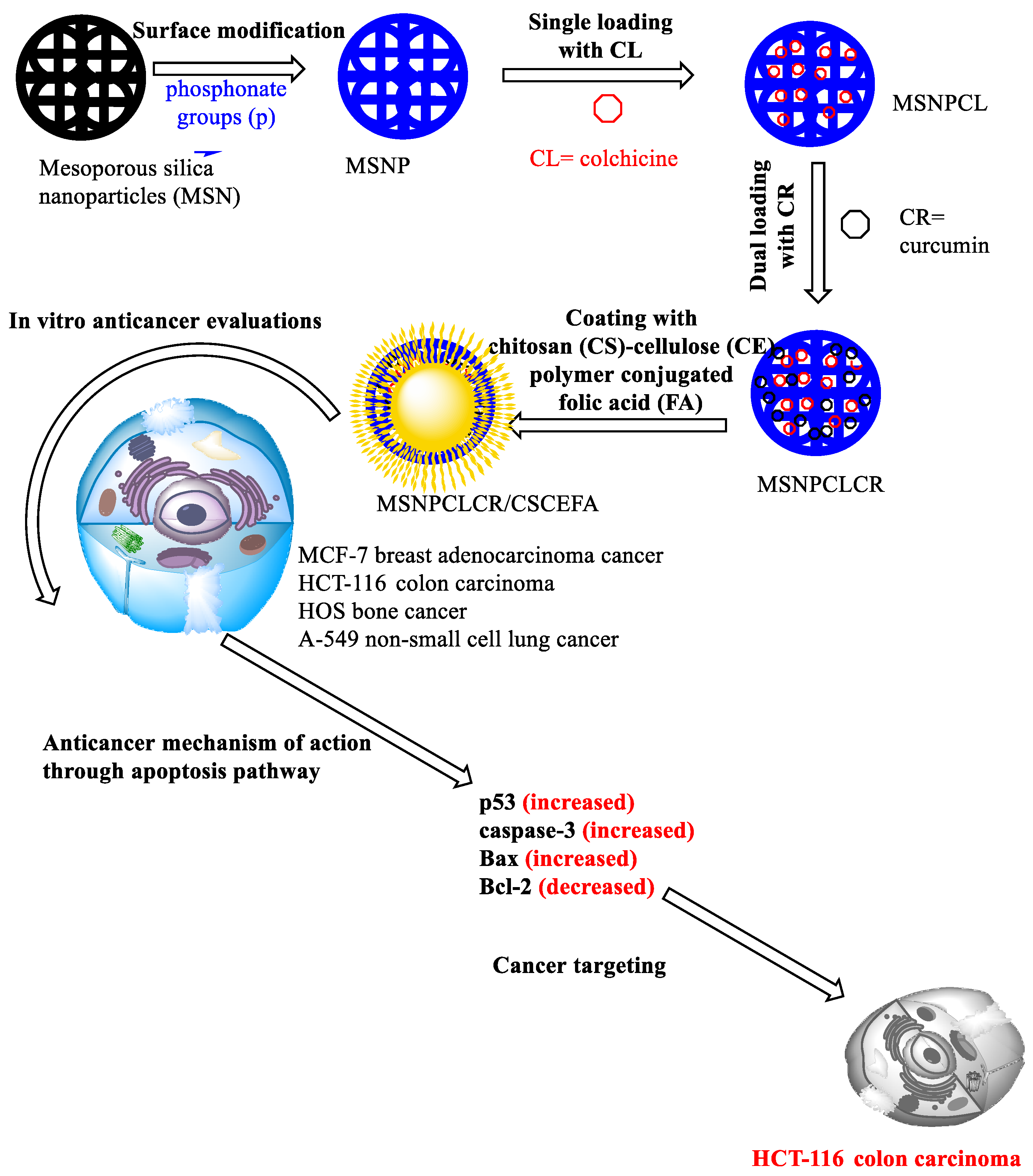 Pharmaceutics 14 02770 sch001