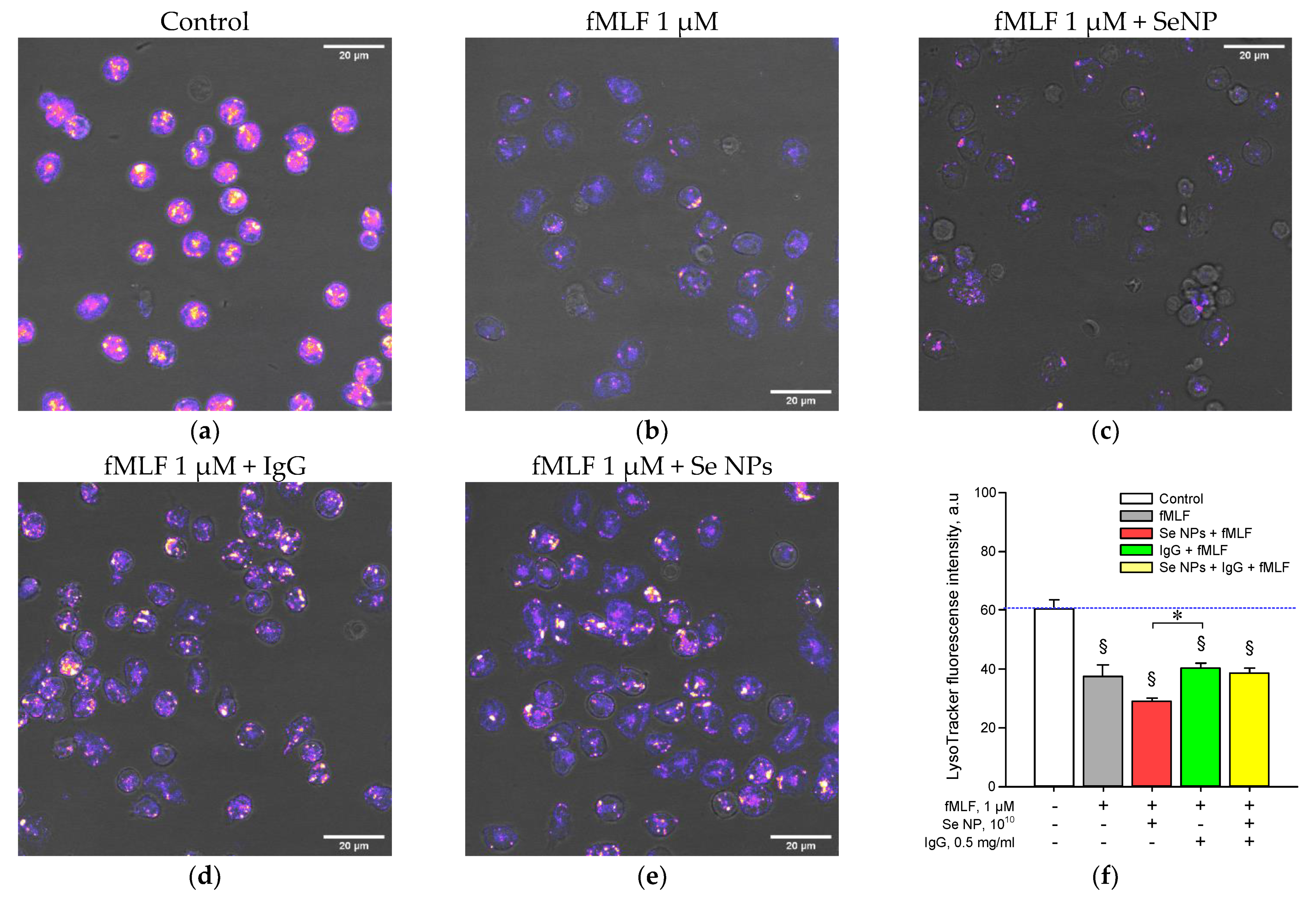 Pharmaceutics 14 02772 g007
