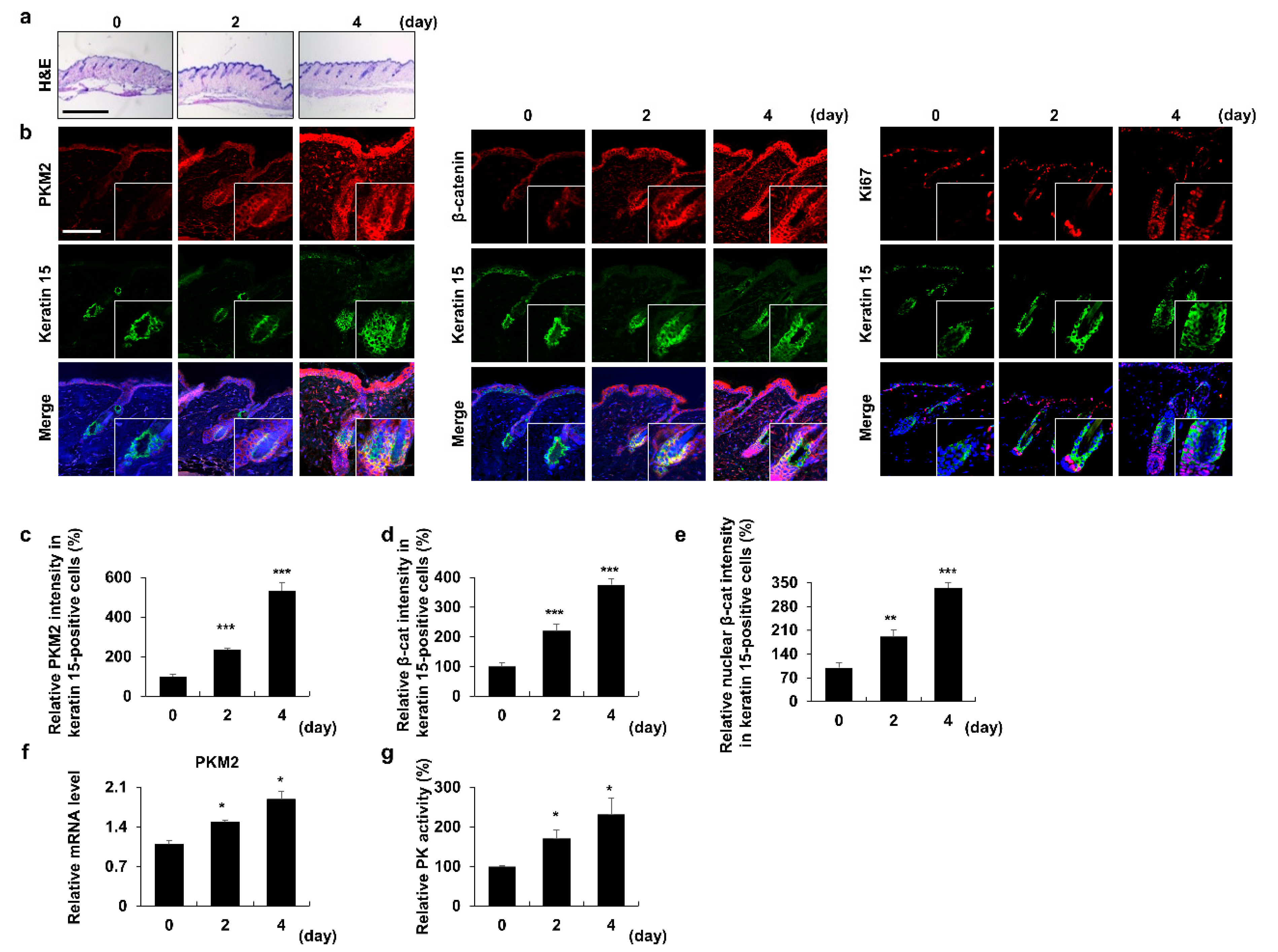 Pharmaceutics 14 02774 g001 Pharmaceutics 14 02774 g001