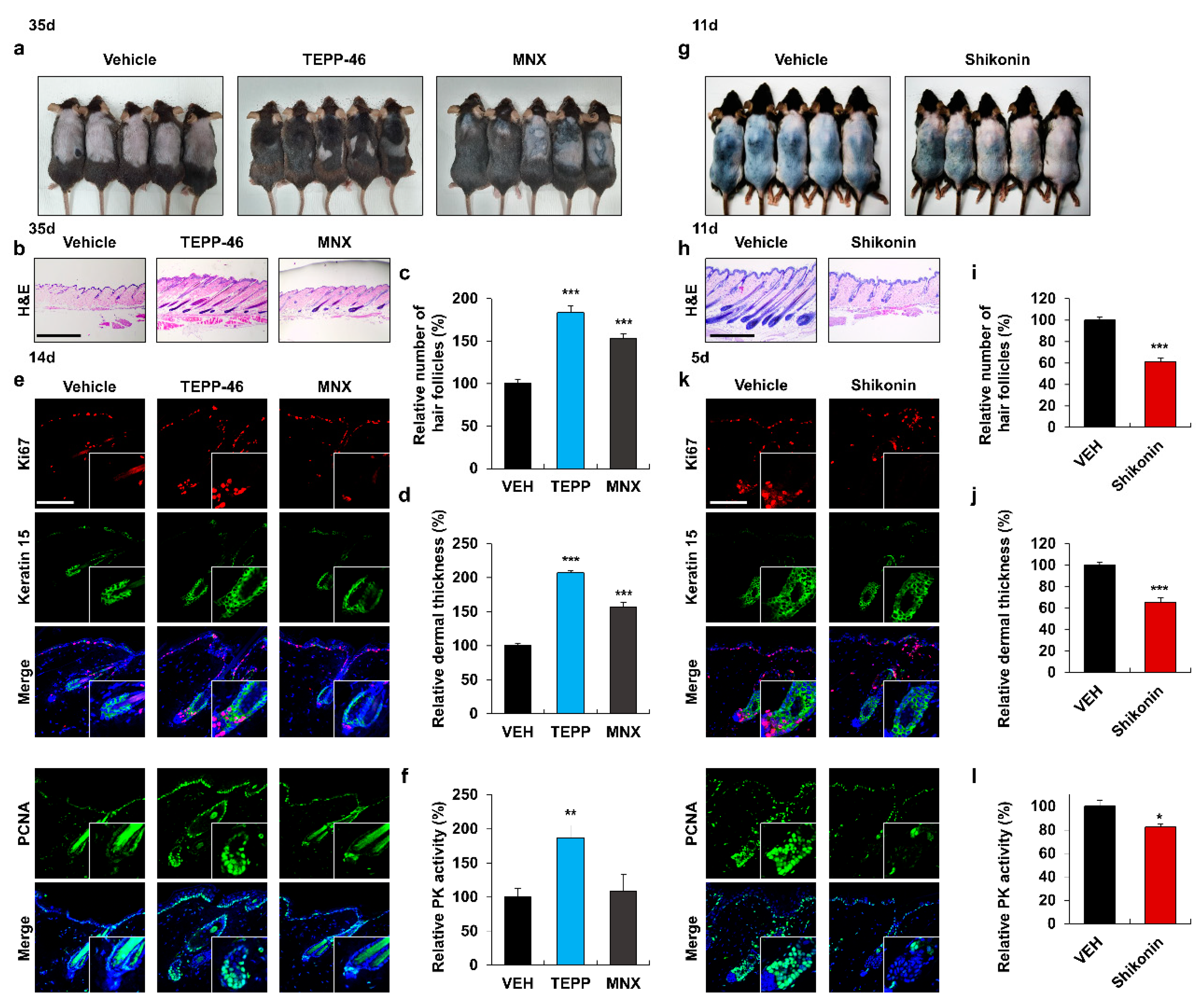 Pharmaceutics 14 02774 g002 Pharmaceutics 14 02774 g002