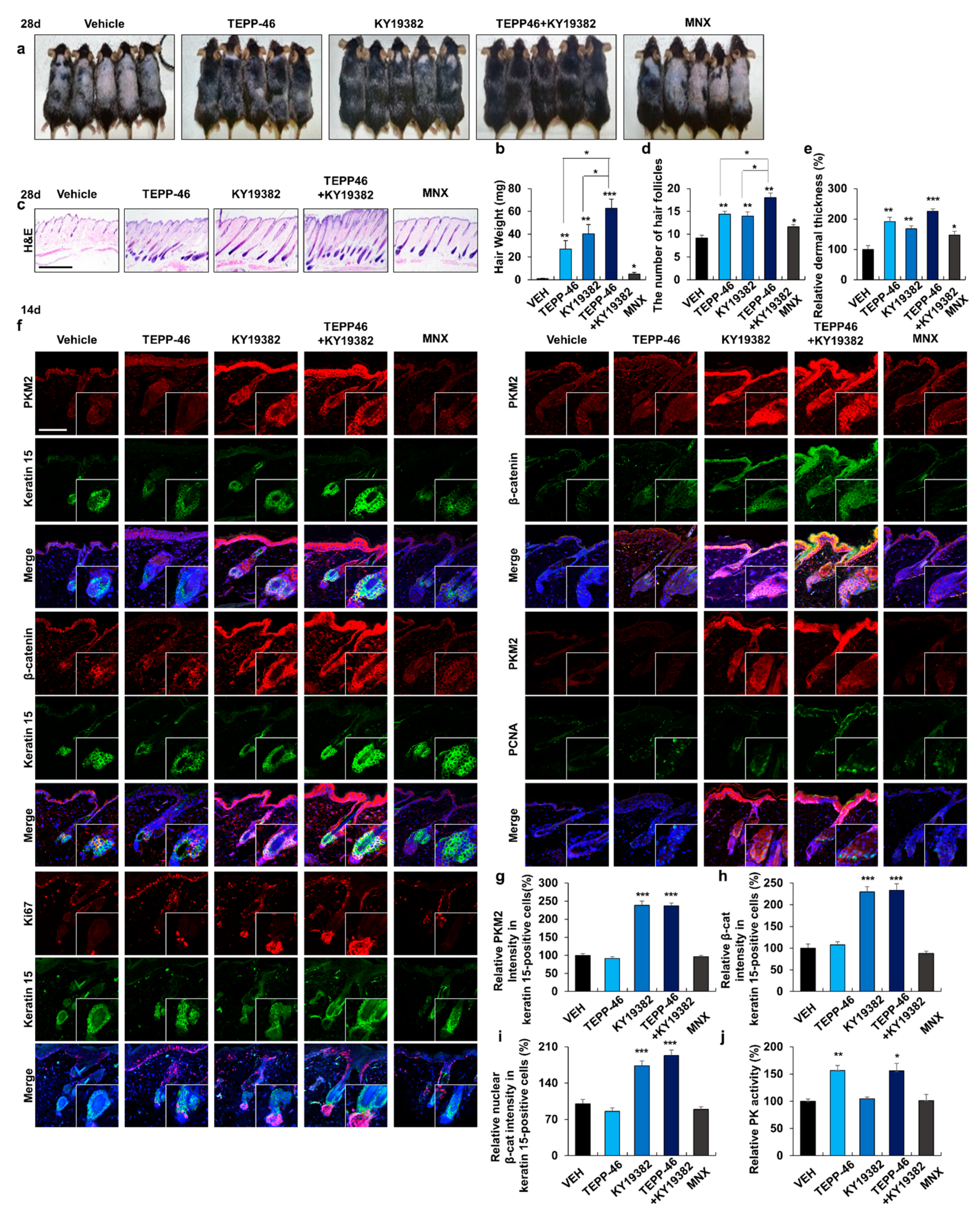 Pharmaceutics 14 02774 g003 Pharmaceutics 14 02774 g003