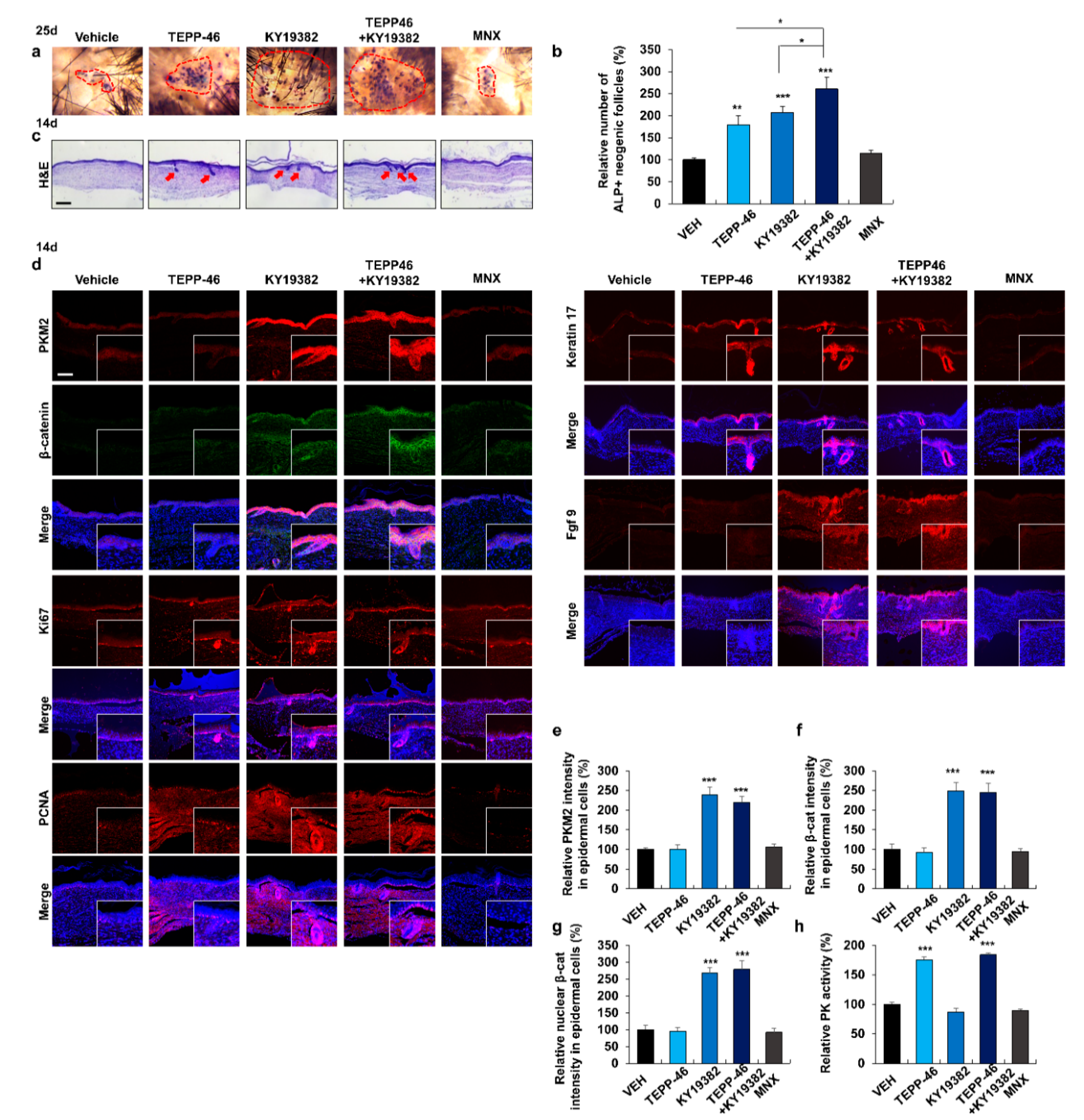 Pharmaceutics 14 02774 g004 Pharmaceutics 14 02774 g004
