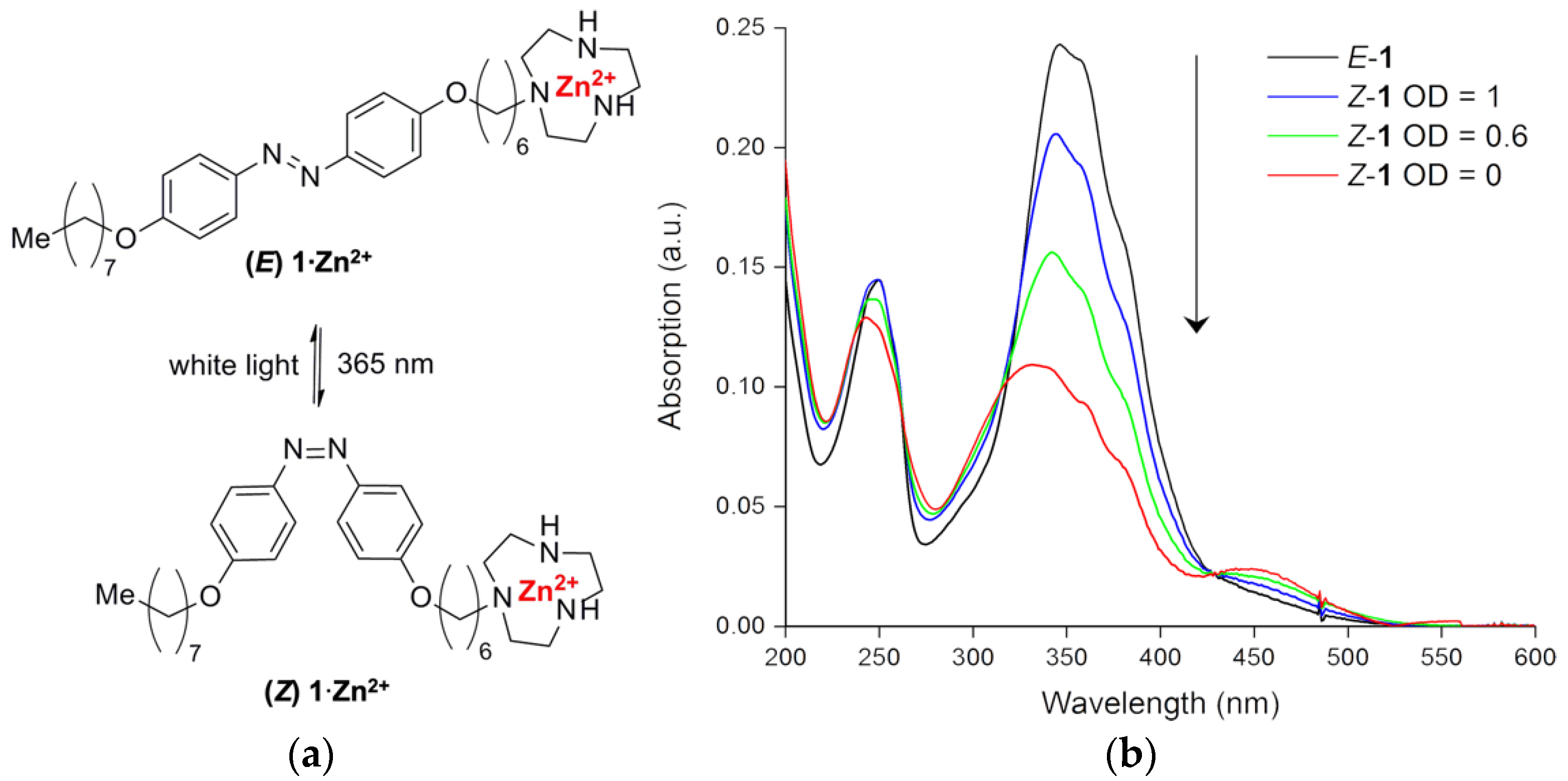 Pharmaceutics 14 02777 g001 Pharmaceutics 14 02777 g001