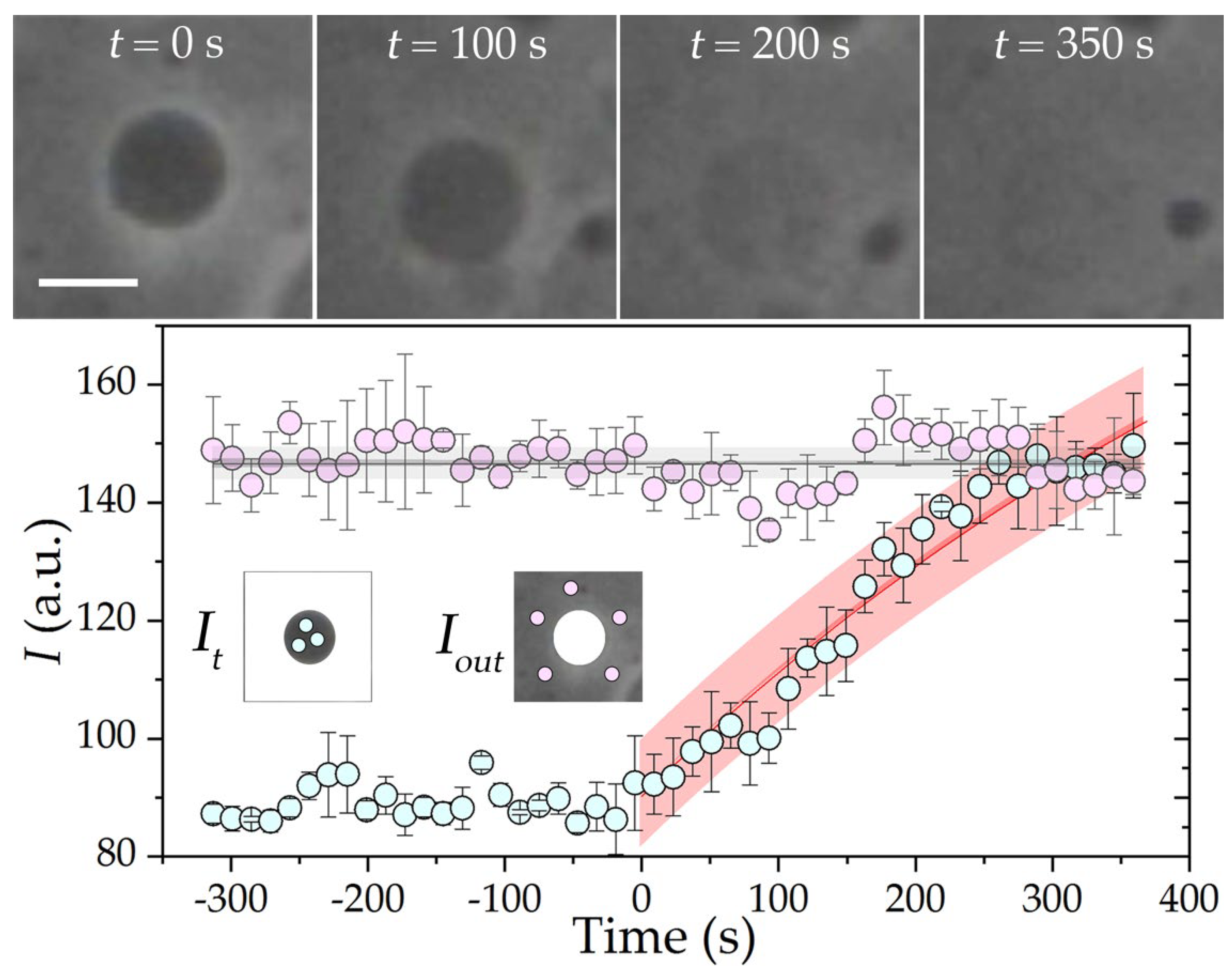 Pharmaceutics 14 02777 g003 Pharmaceutics 14 02777 g003