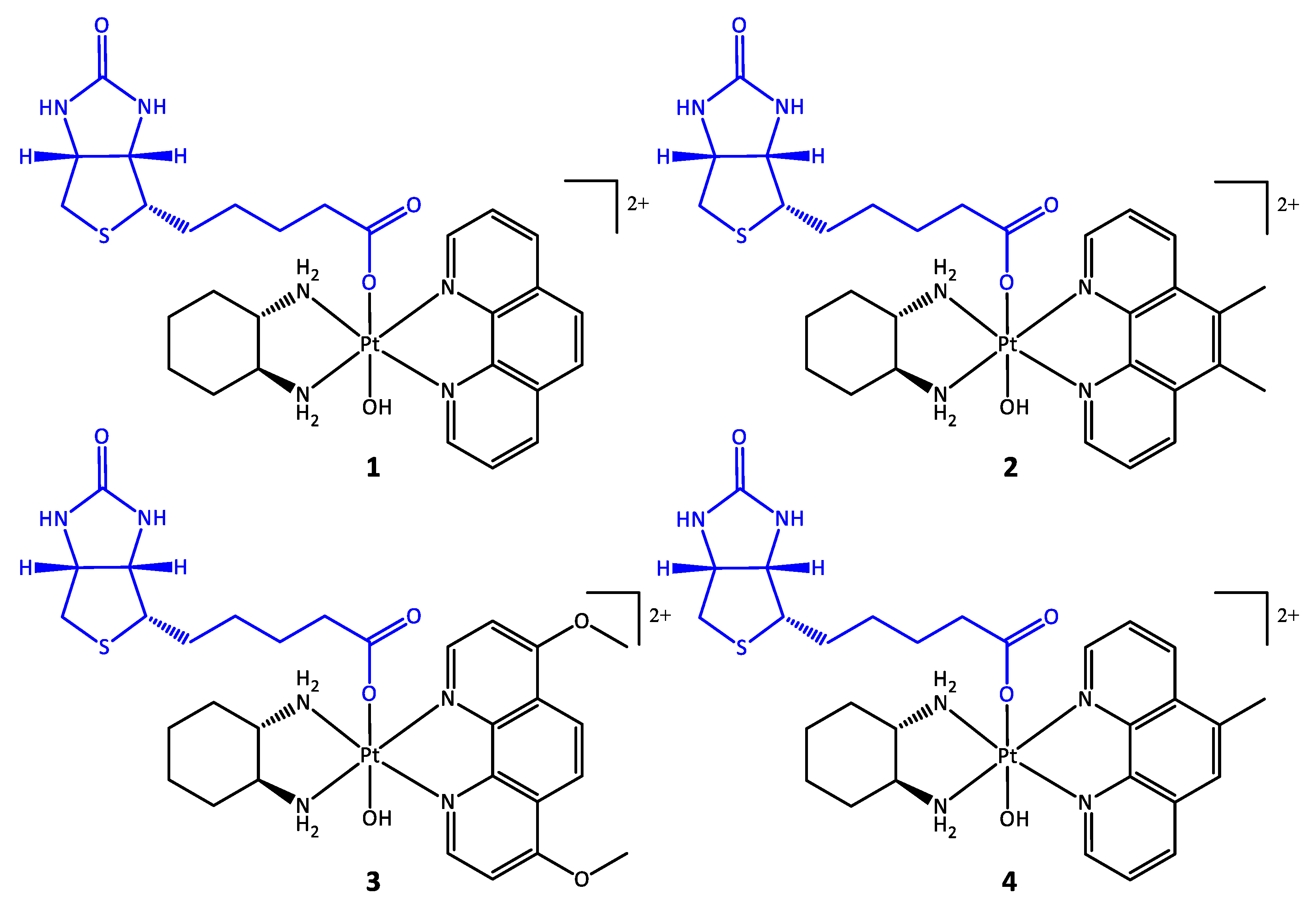 Pharmaceutics 14 02780 g003 Pharmaceutics 14 02780 g003
