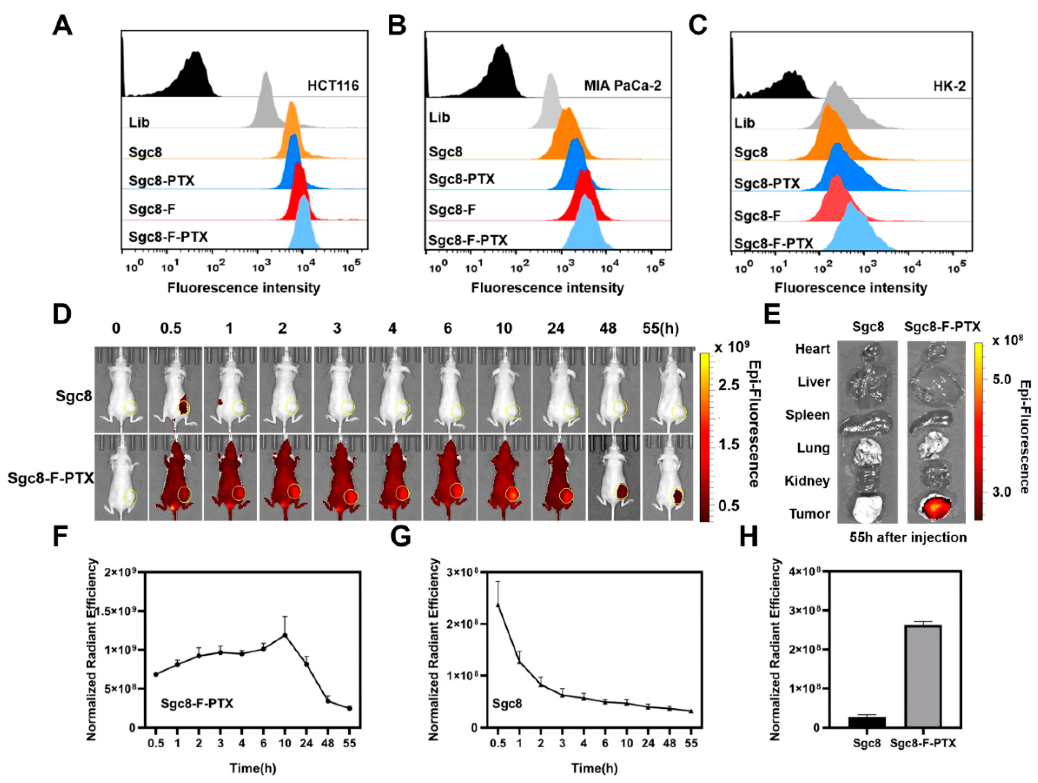 Pharmaceutics 14 02781 g003 Pharmaceutics 14 02781 g003