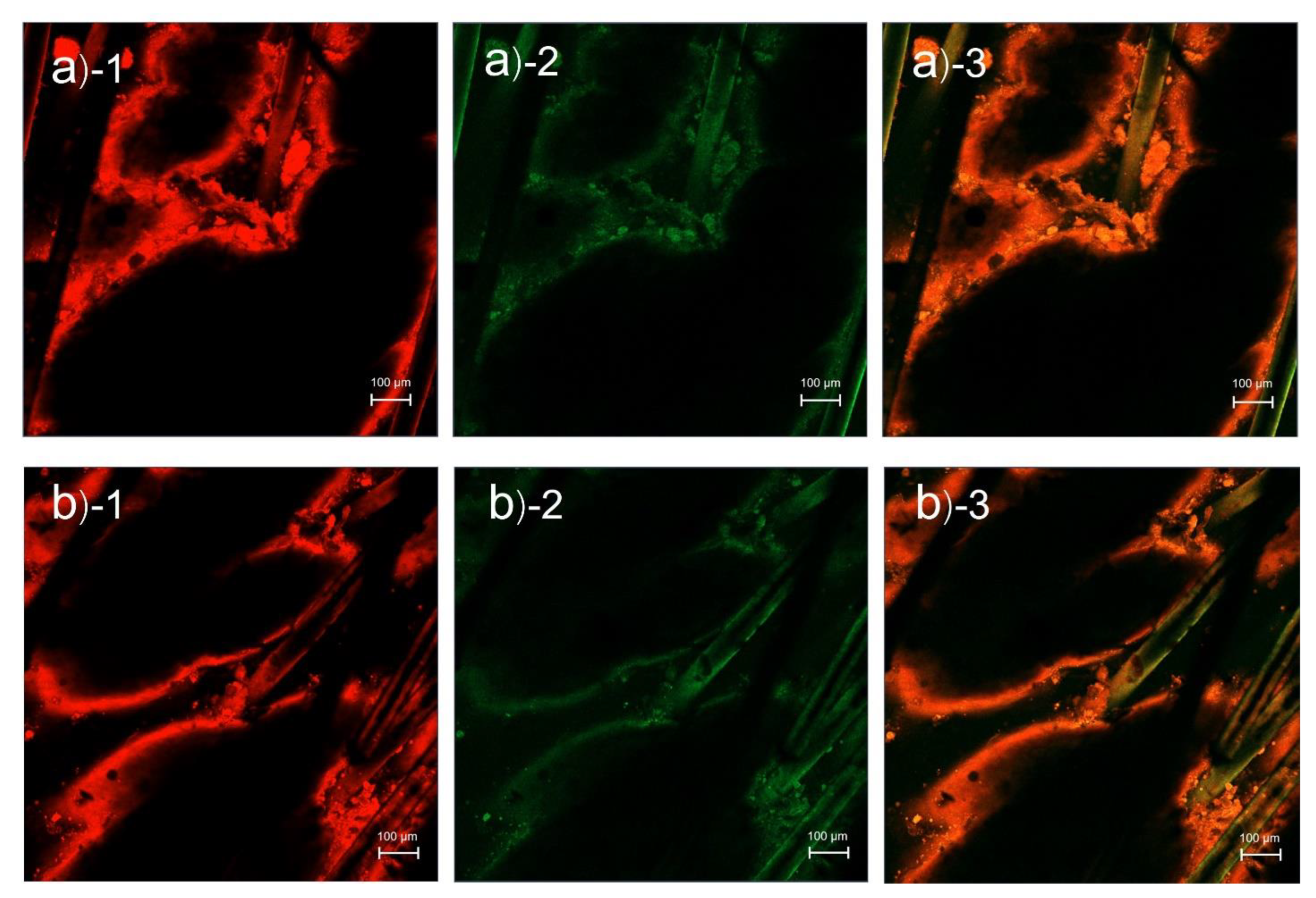Pharmaceutics 14 02784 g002