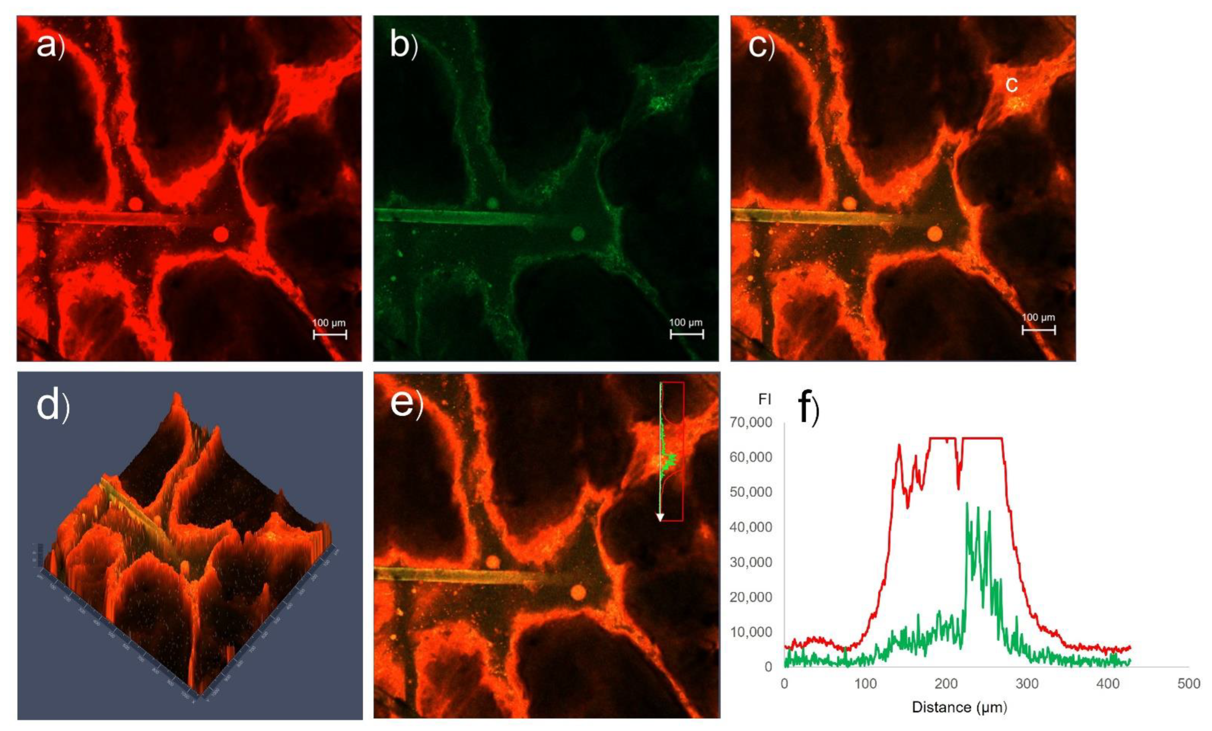 Pharmaceutics 14 02784 g003