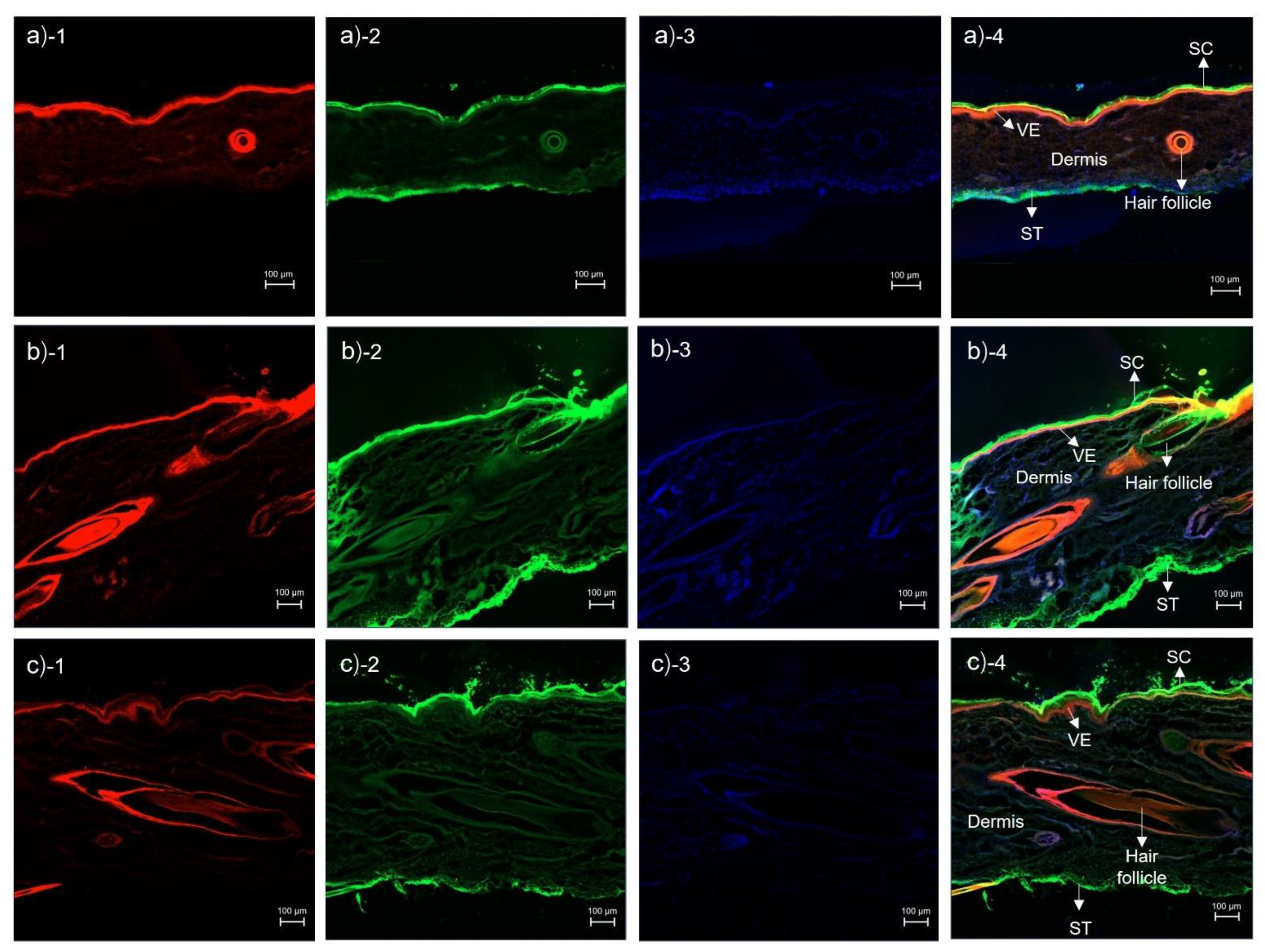 Pharmaceutics 14 02784 g005