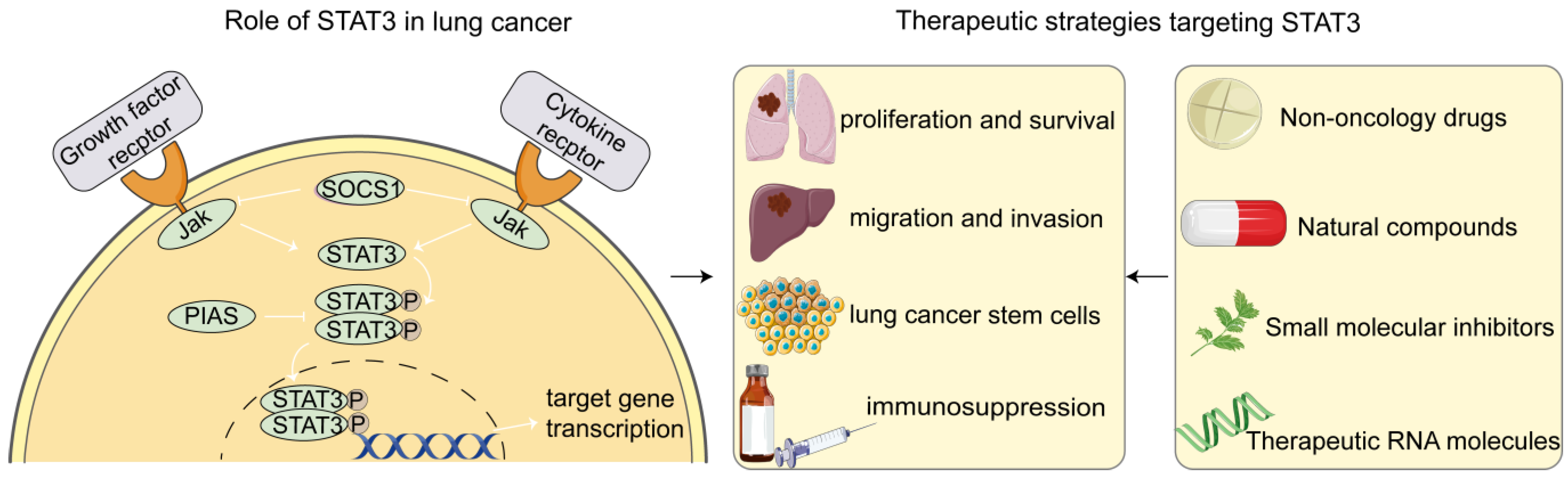 Pharmaceutics 14 02787 g001 Pharmaceutics 14 02787 g001