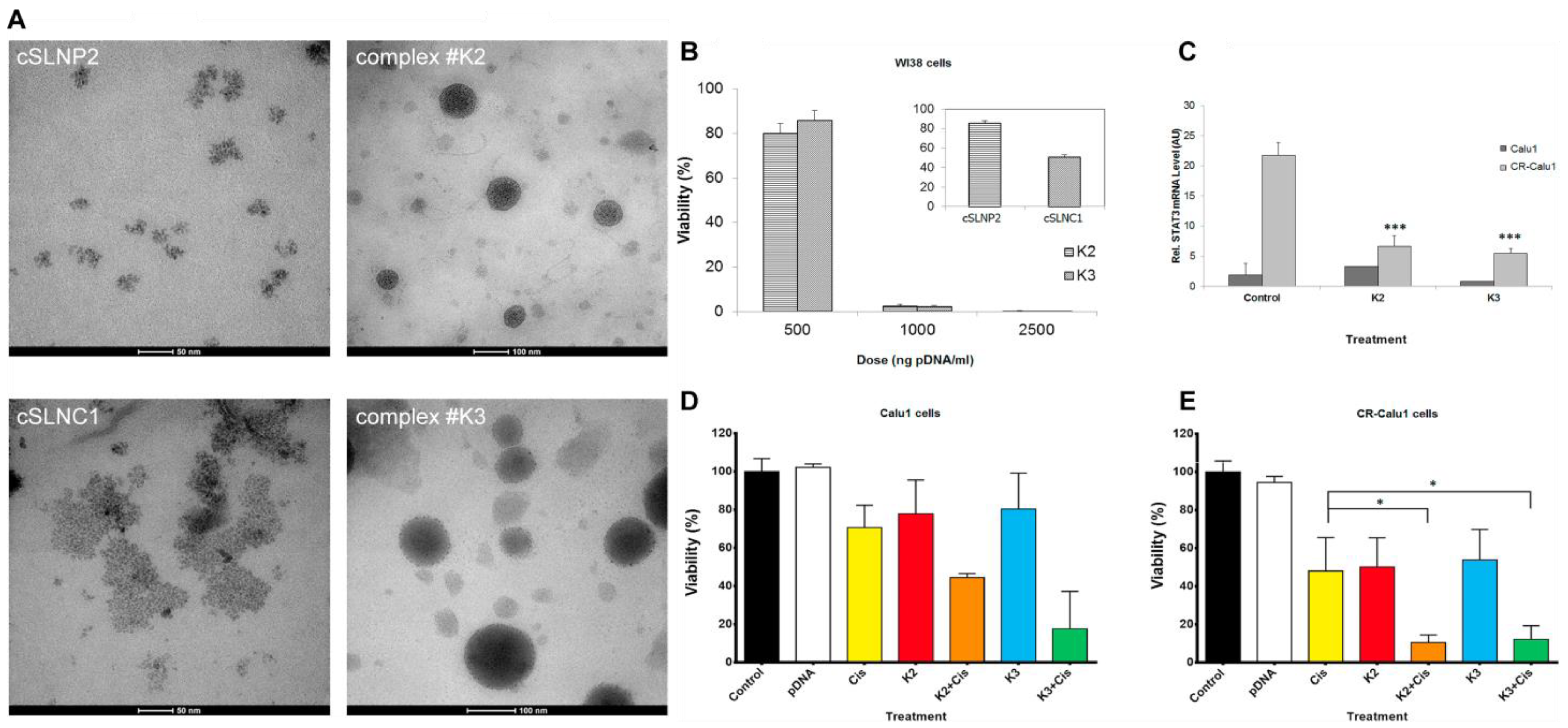 Pharmaceutics 14 02787 g003 Pharmaceutics 14 02787 g003