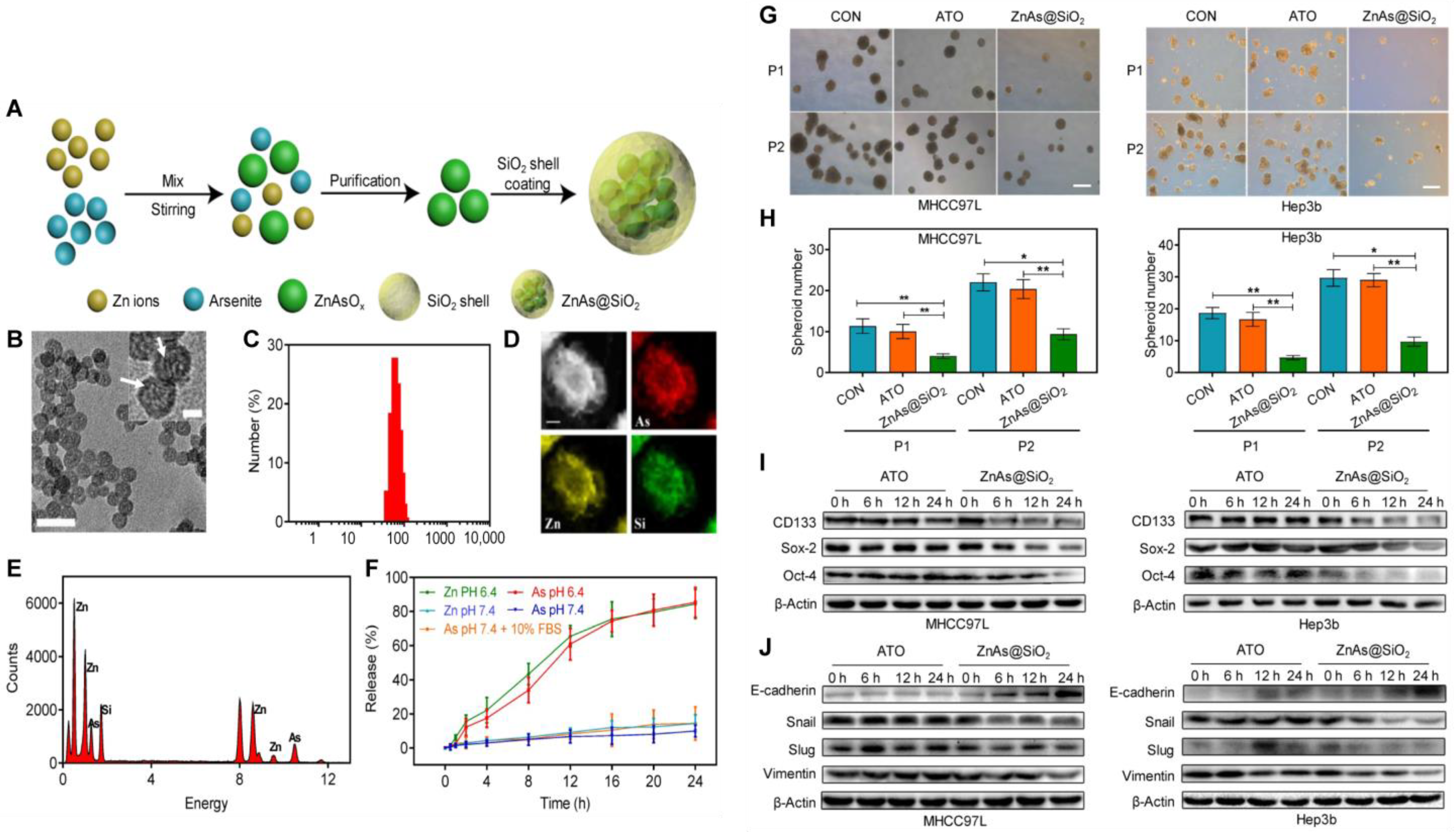 Pharmaceutics 14 02787 g004 Pharmaceutics 14 02787 g004