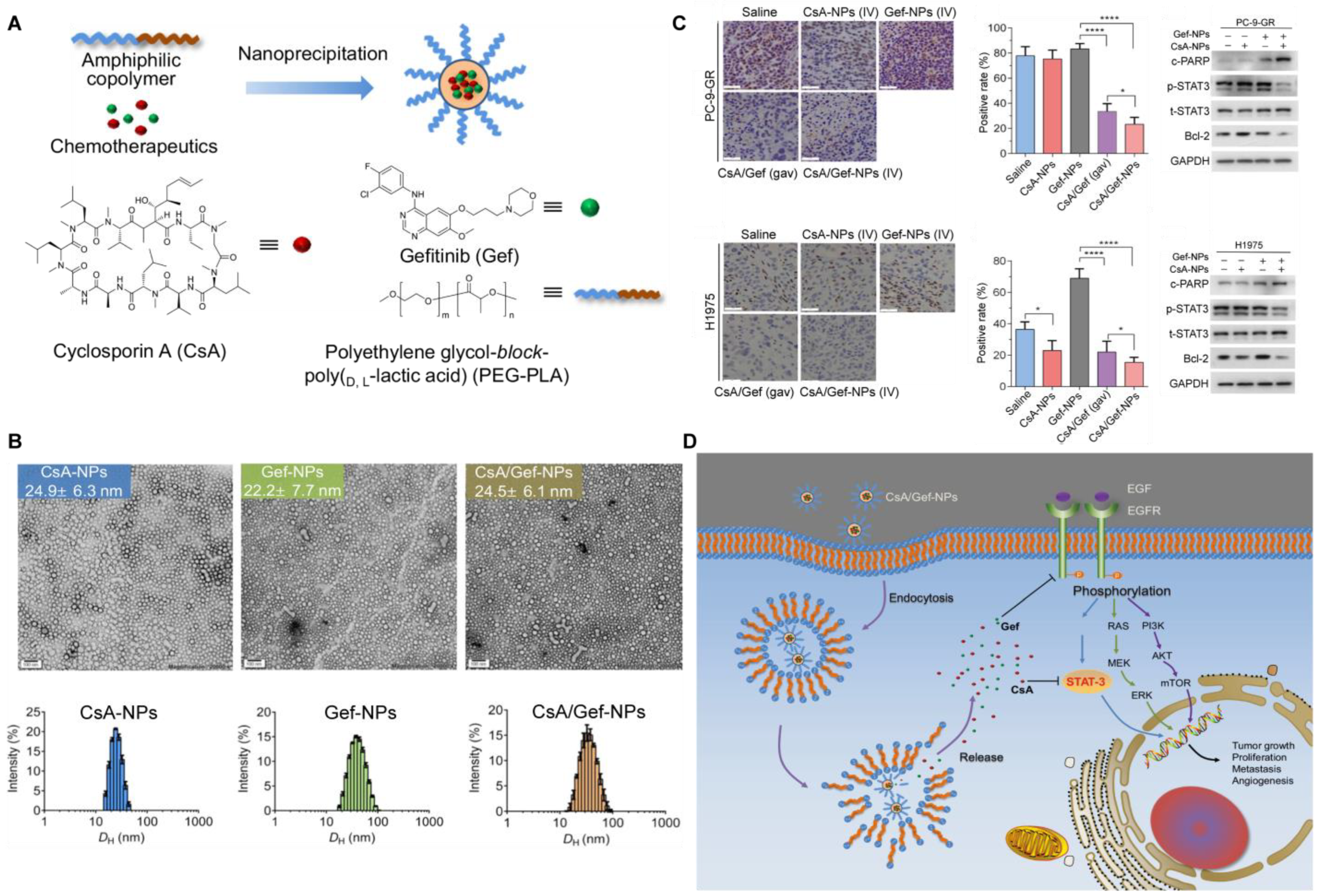 Pharmaceutics 14 02787 g005 Pharmaceutics 14 02787 g005