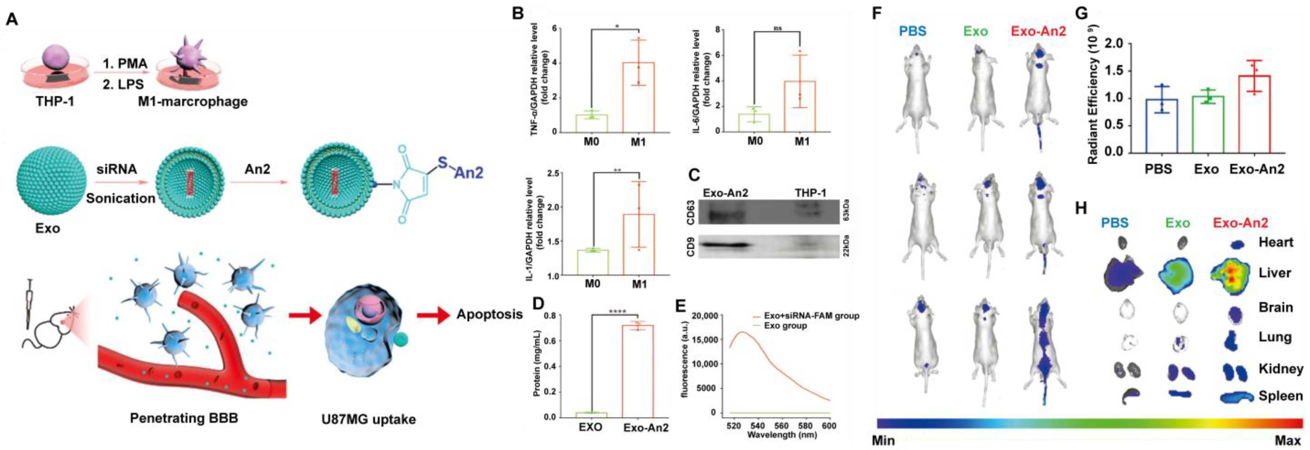 Pharmaceutics 14 02787 g006 Pharmaceutics 14 02787 g006