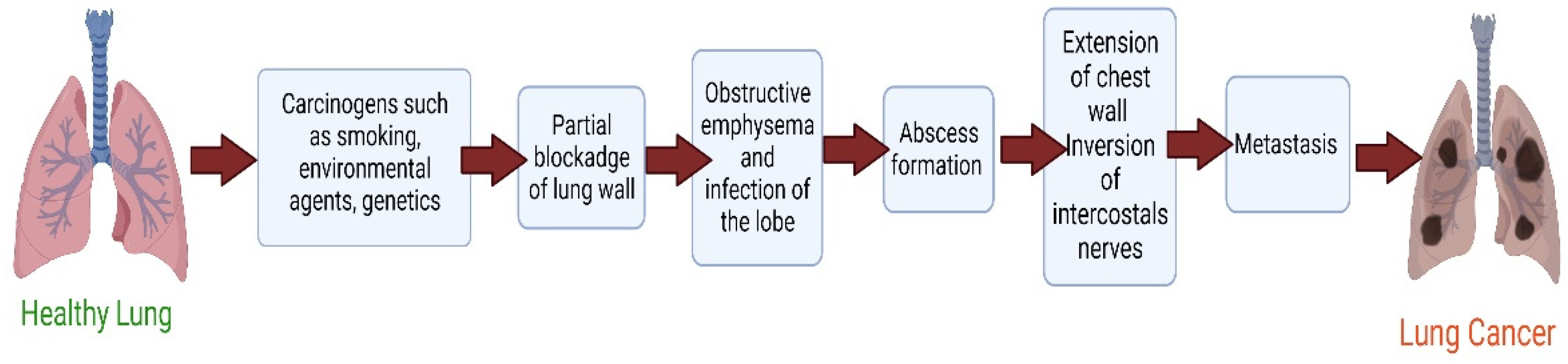 Pharmaceutics 14 02788 g001 Pharmaceutics 14 02788 g001