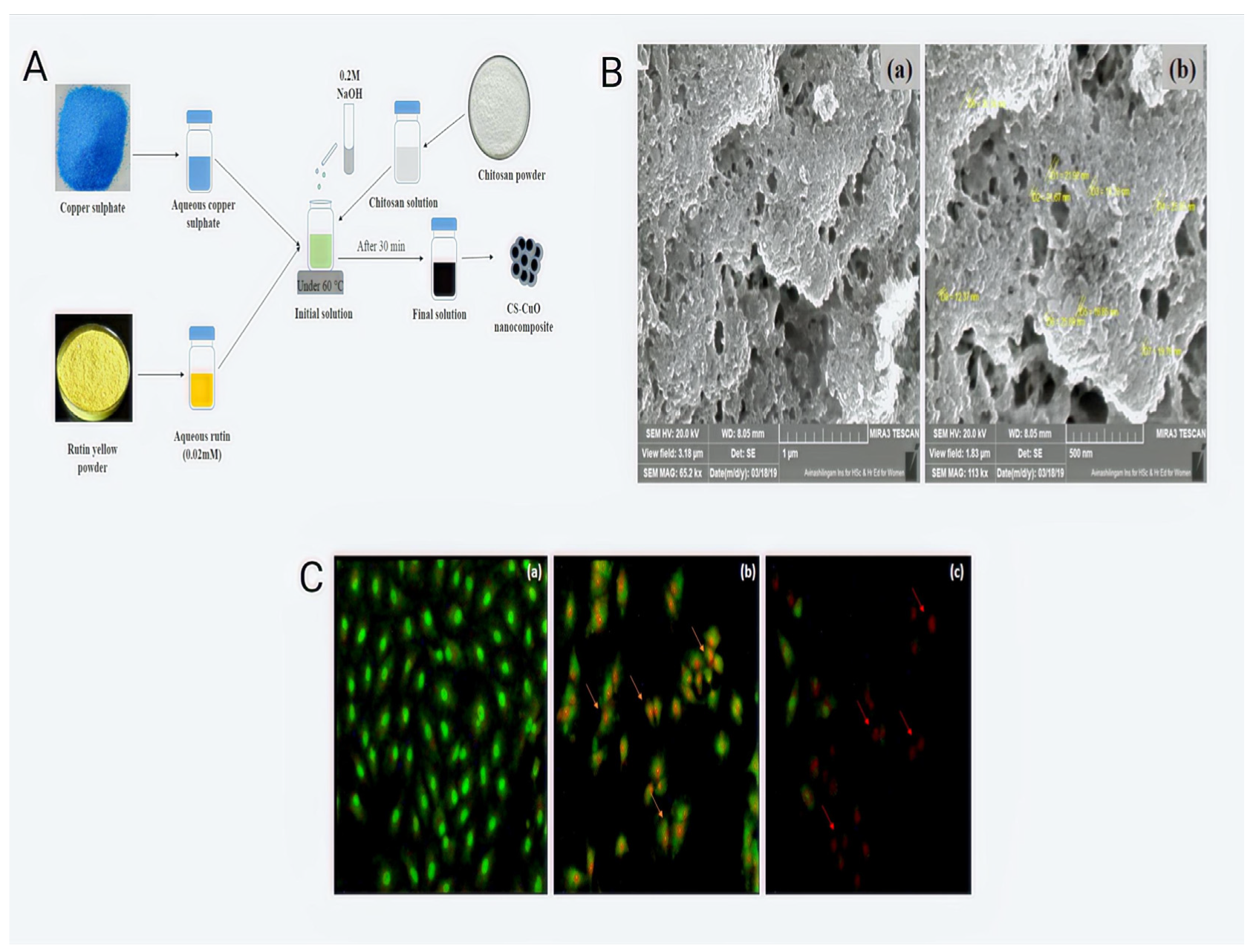 Pharmaceutics 14 02788 g002 Pharmaceutics 14 02788 g002