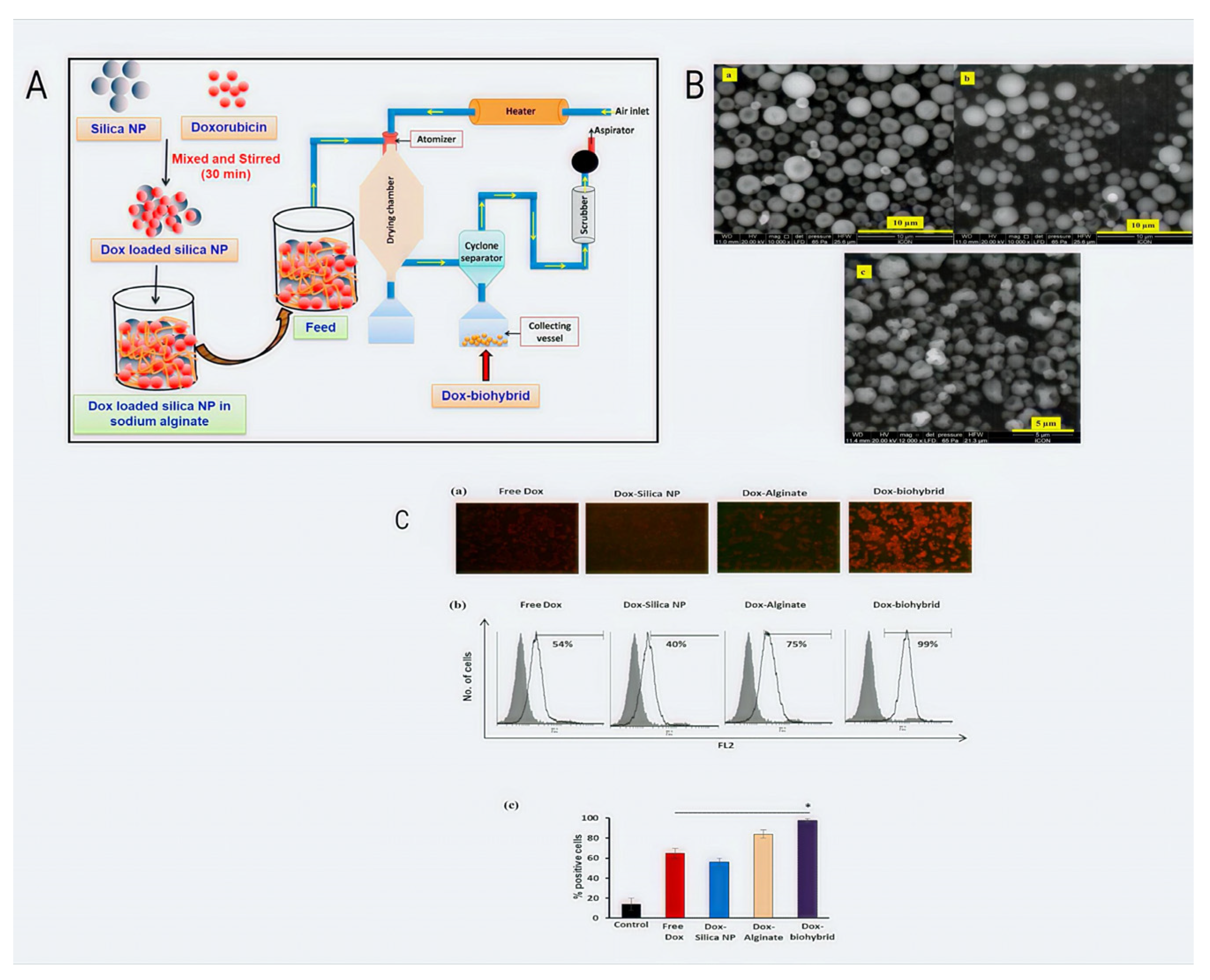 Pharmaceutics 14 02788 g003 Pharmaceutics 14 02788 g003