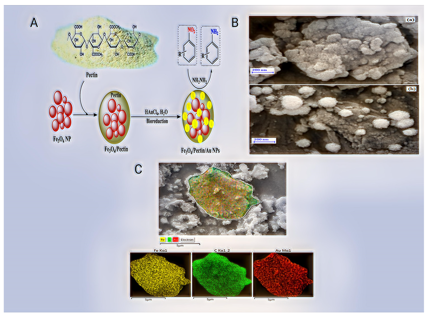 Pharmaceutics 14 02788 g004 Pharmaceutics 14 02788 g004