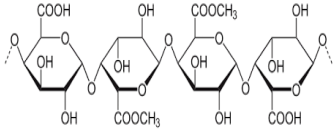 Pharmaceutics 14 02788 i005 Pharmaceutics 14 02788 i005