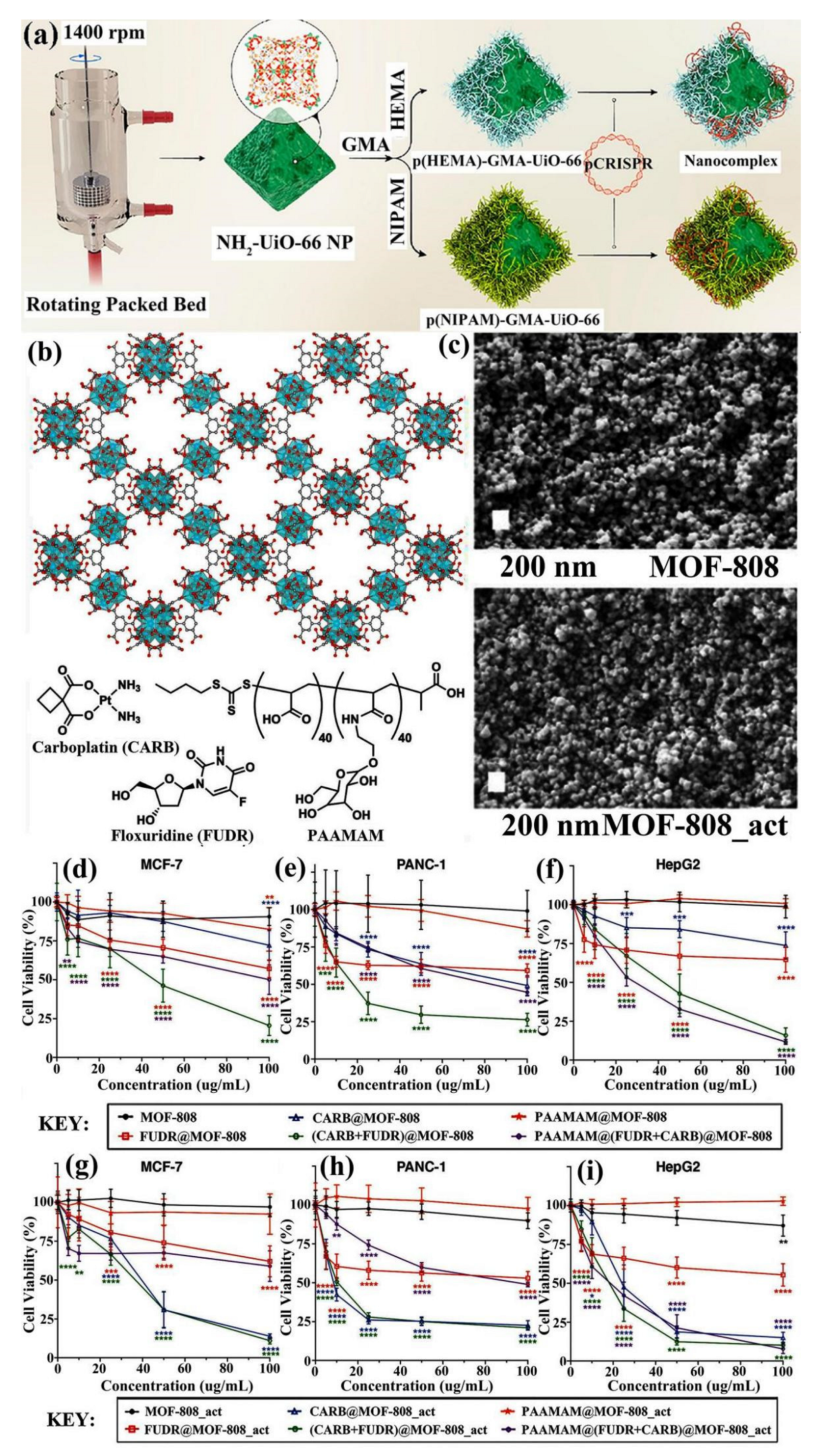 Pharmaceutics 14 02790 g002