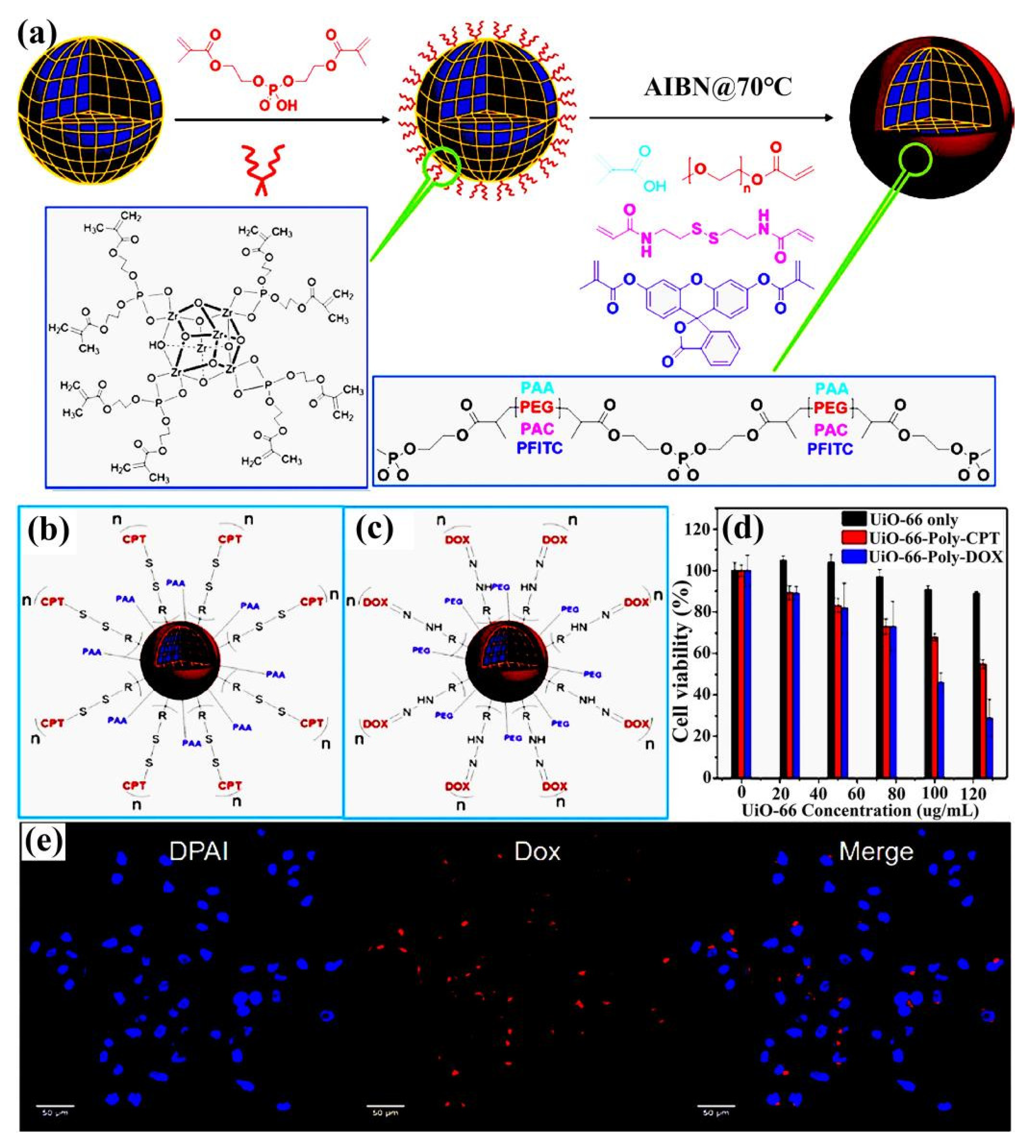 Pharmaceutics 14 02790 g003