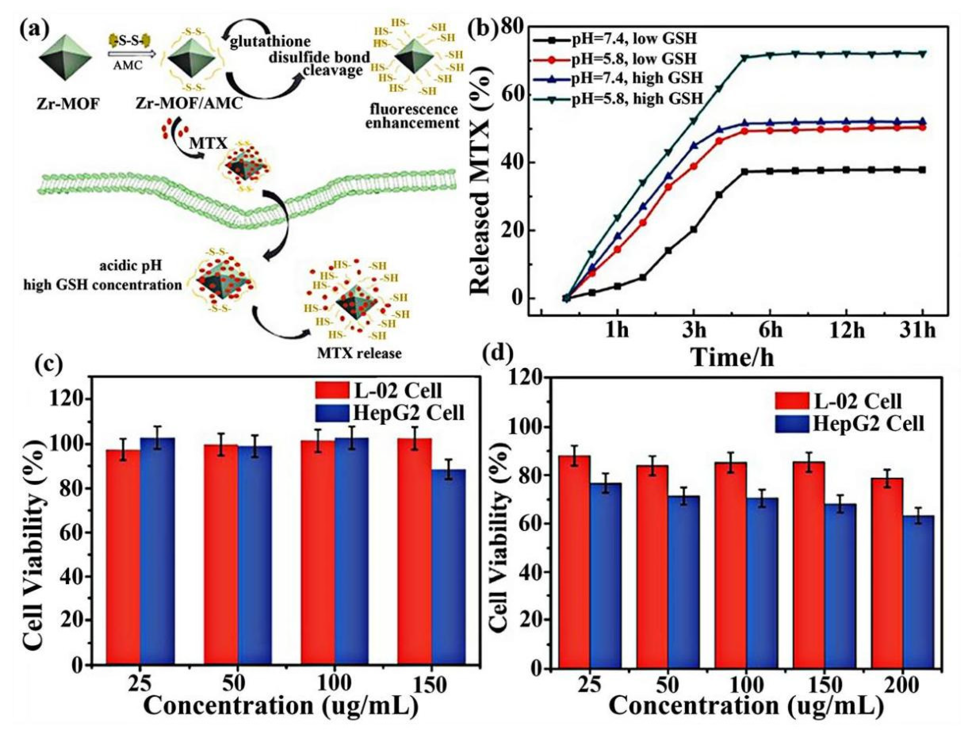 Pharmaceutics 14 02790 g004