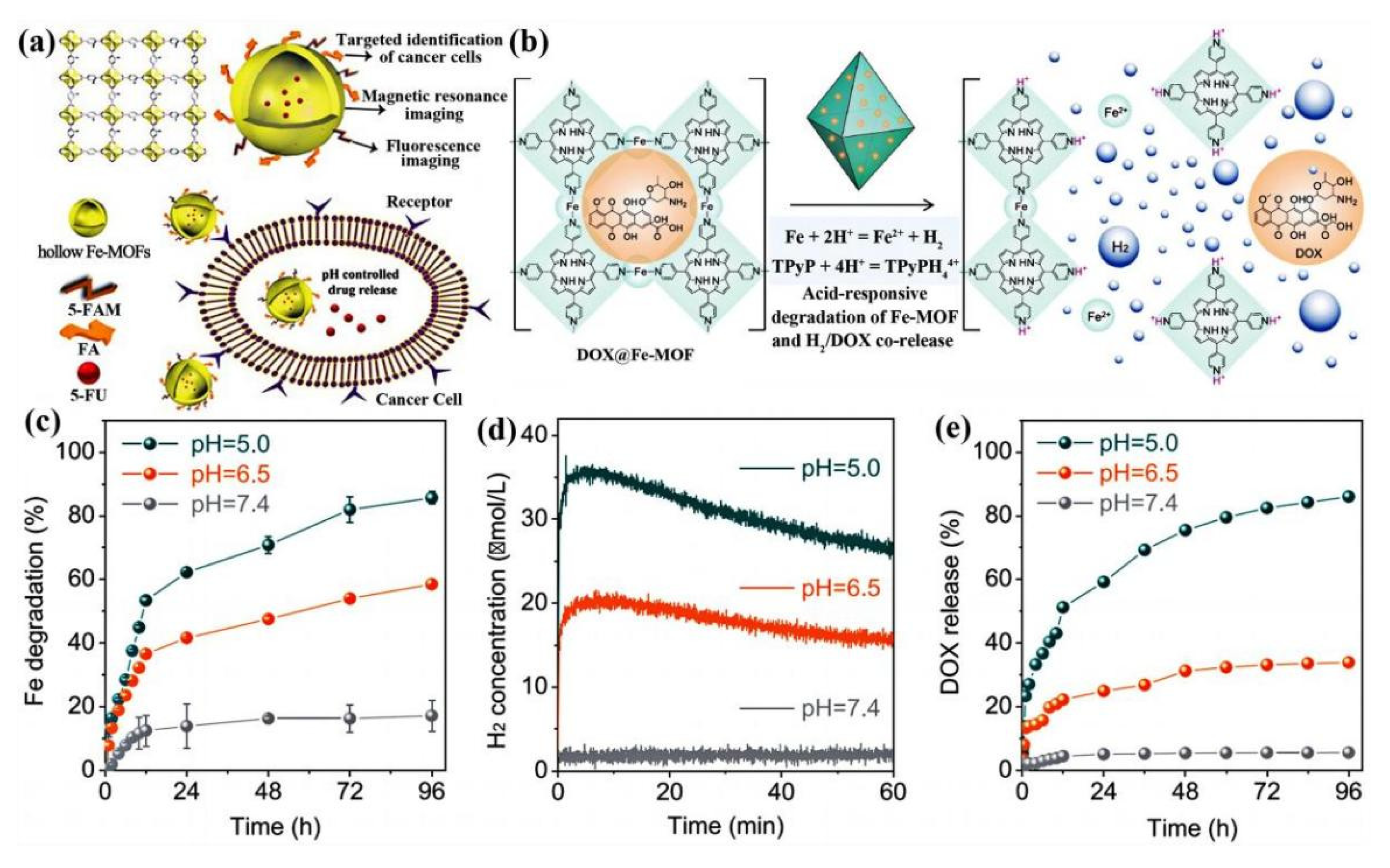 Pharmaceutics 14 02790 g007