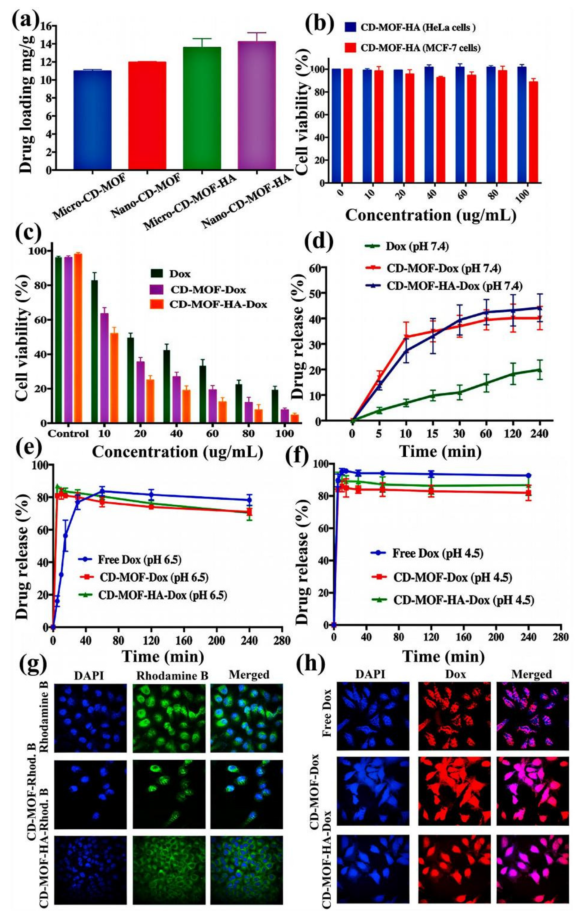 Pharmaceutics 14 02790 g009