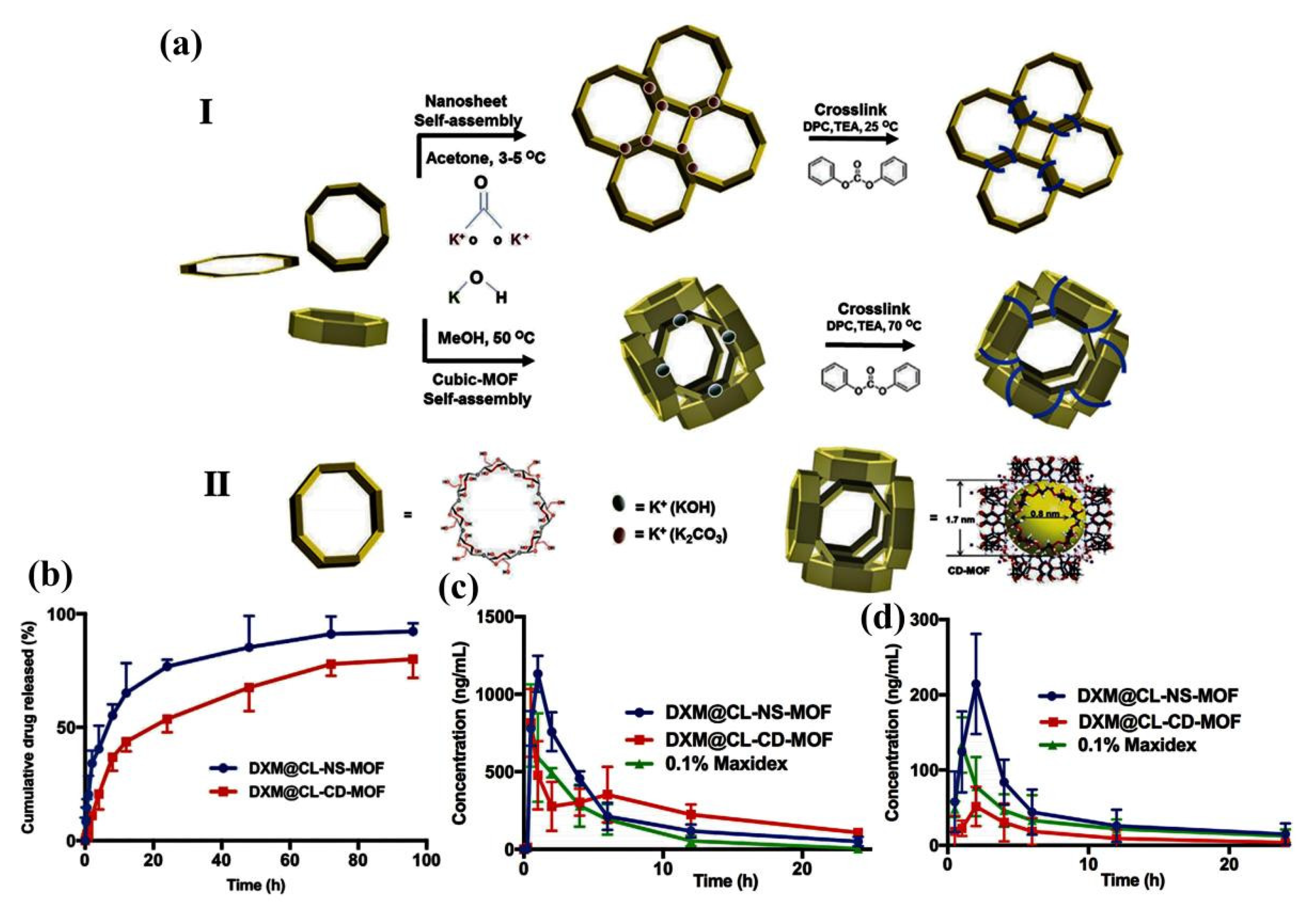 Pharmaceutics 14 02790 g010