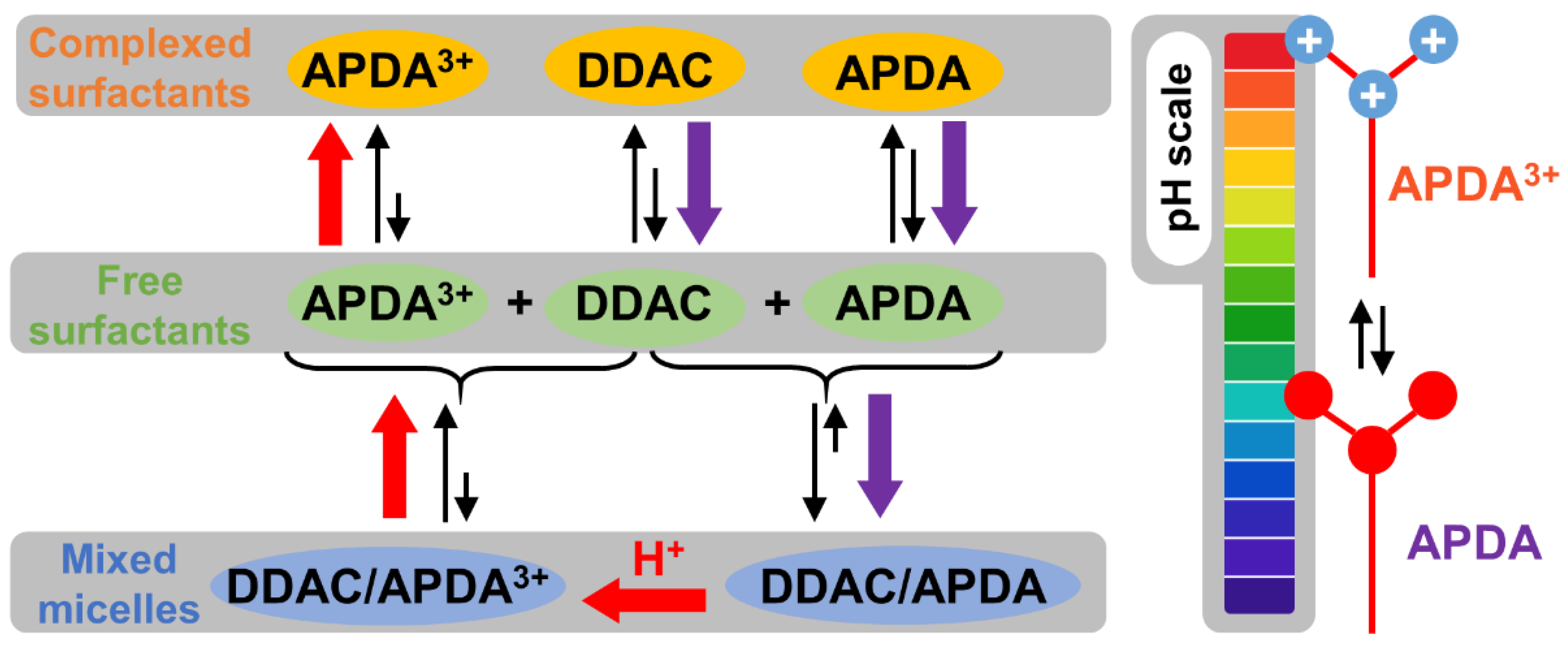 Pharmaceutics 14 02791 g004