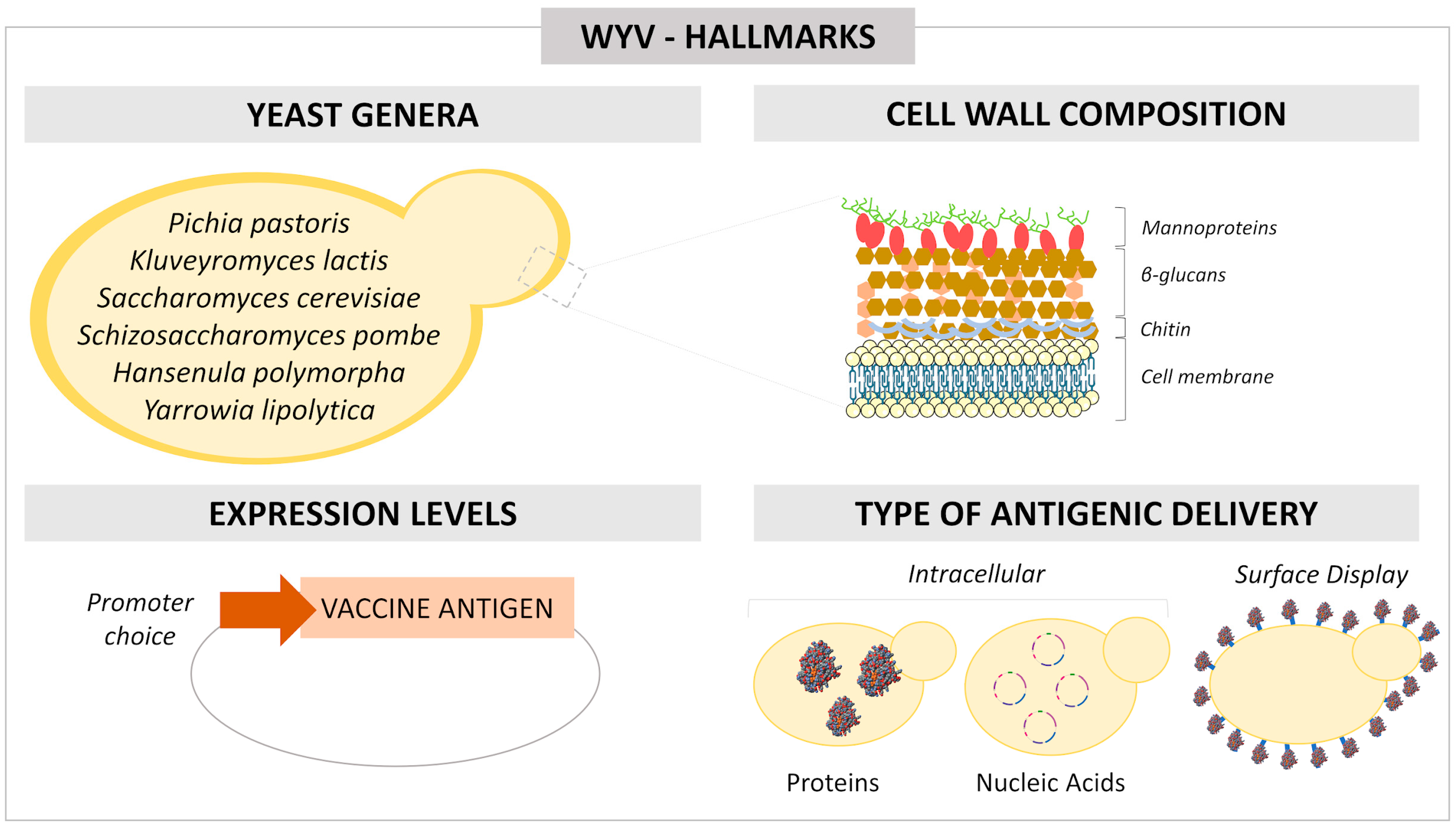 Pharmaceutics 14 02792 g001