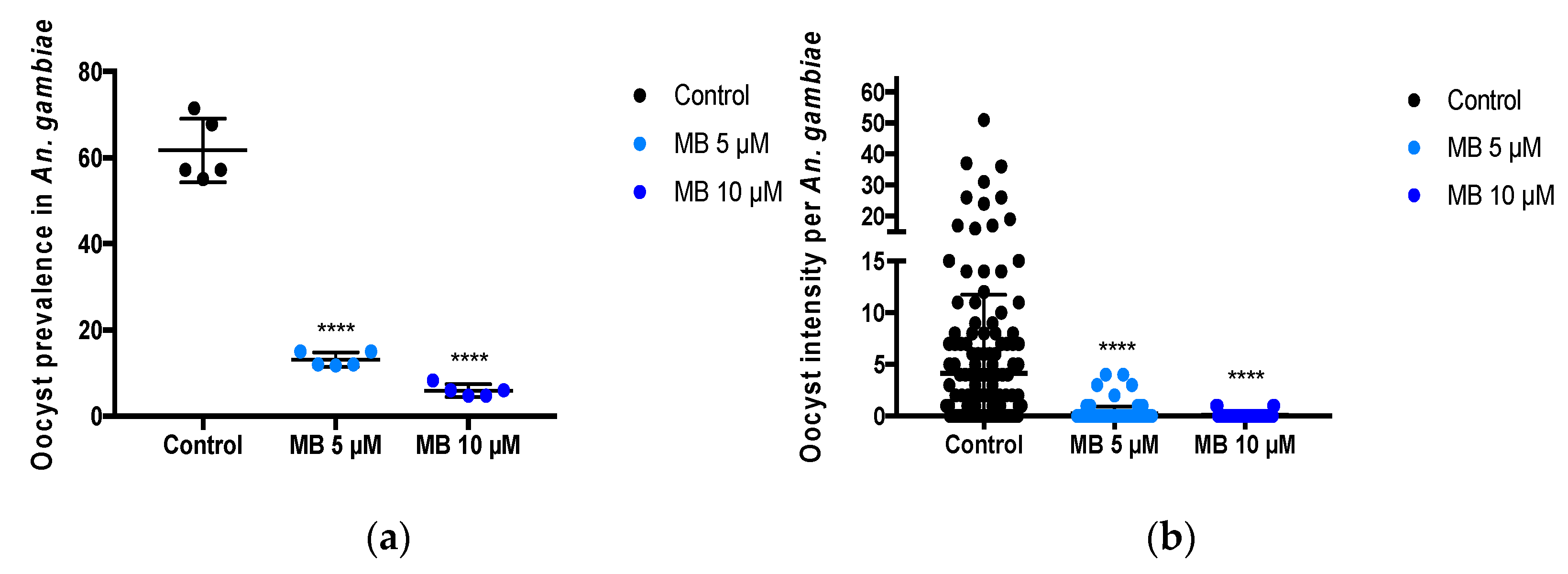 Pharmaceutics 14 02794 g001