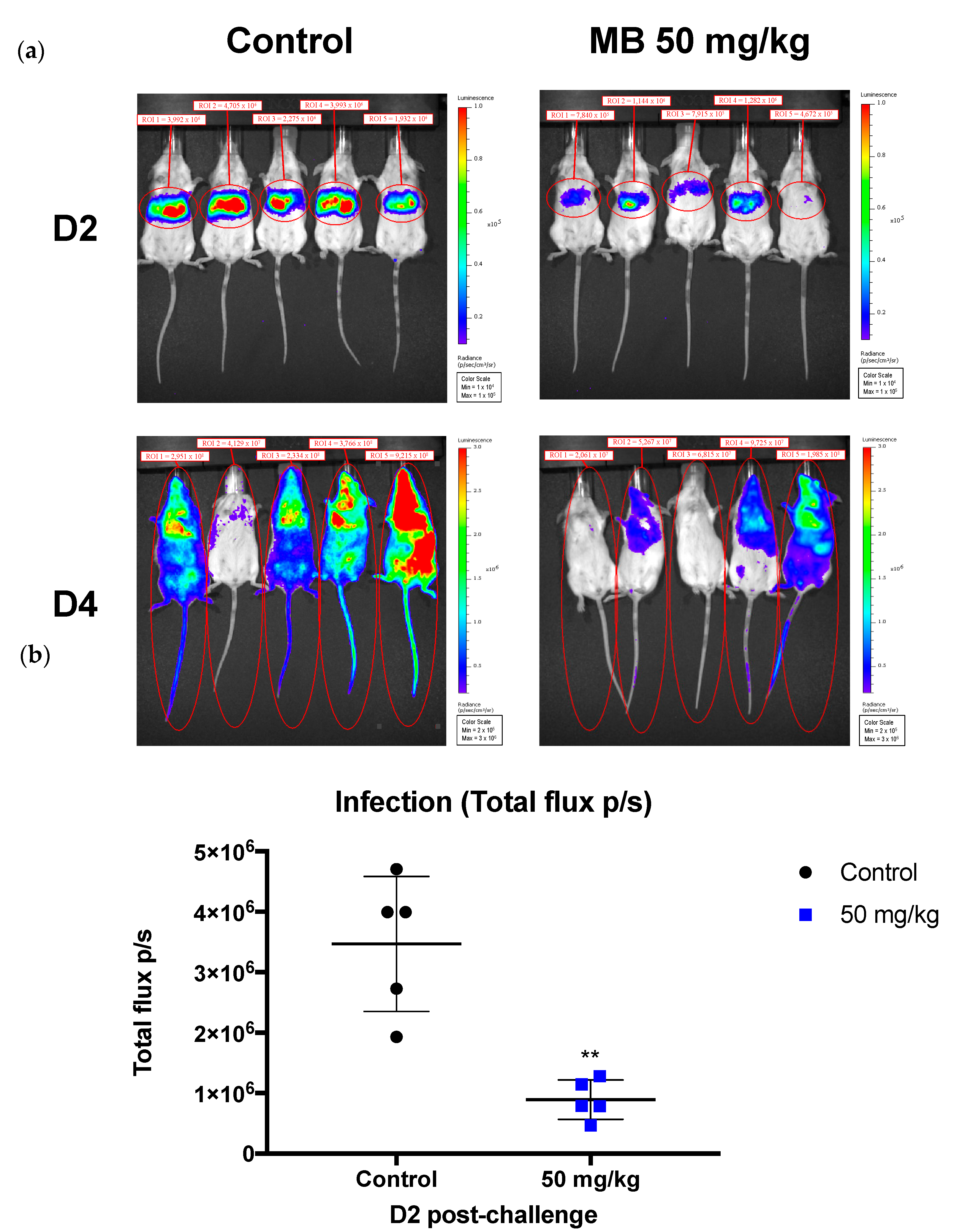 Pharmaceutics 14 02794 g005